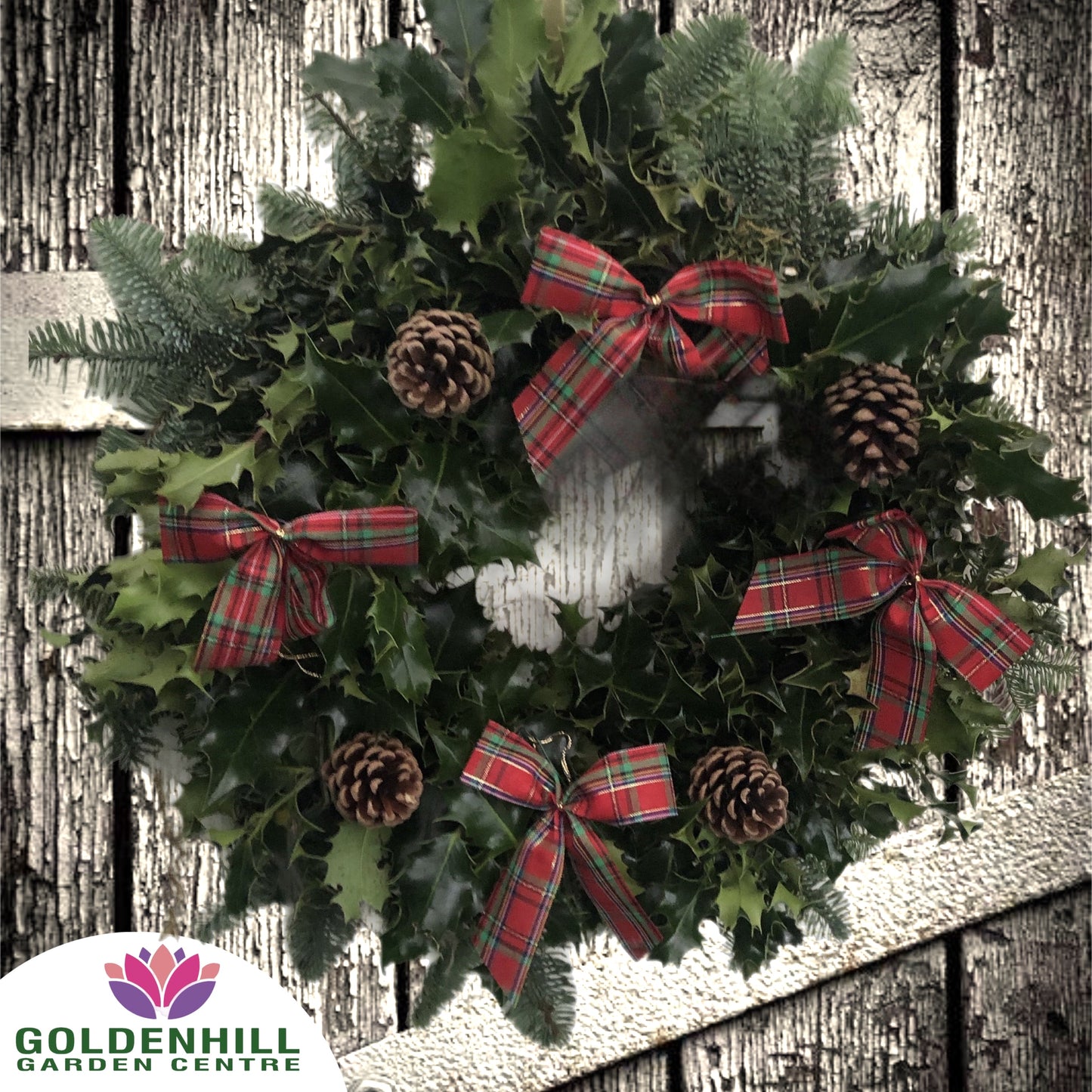 Traditional Holly Wreath with Pine Cones & Ribbons