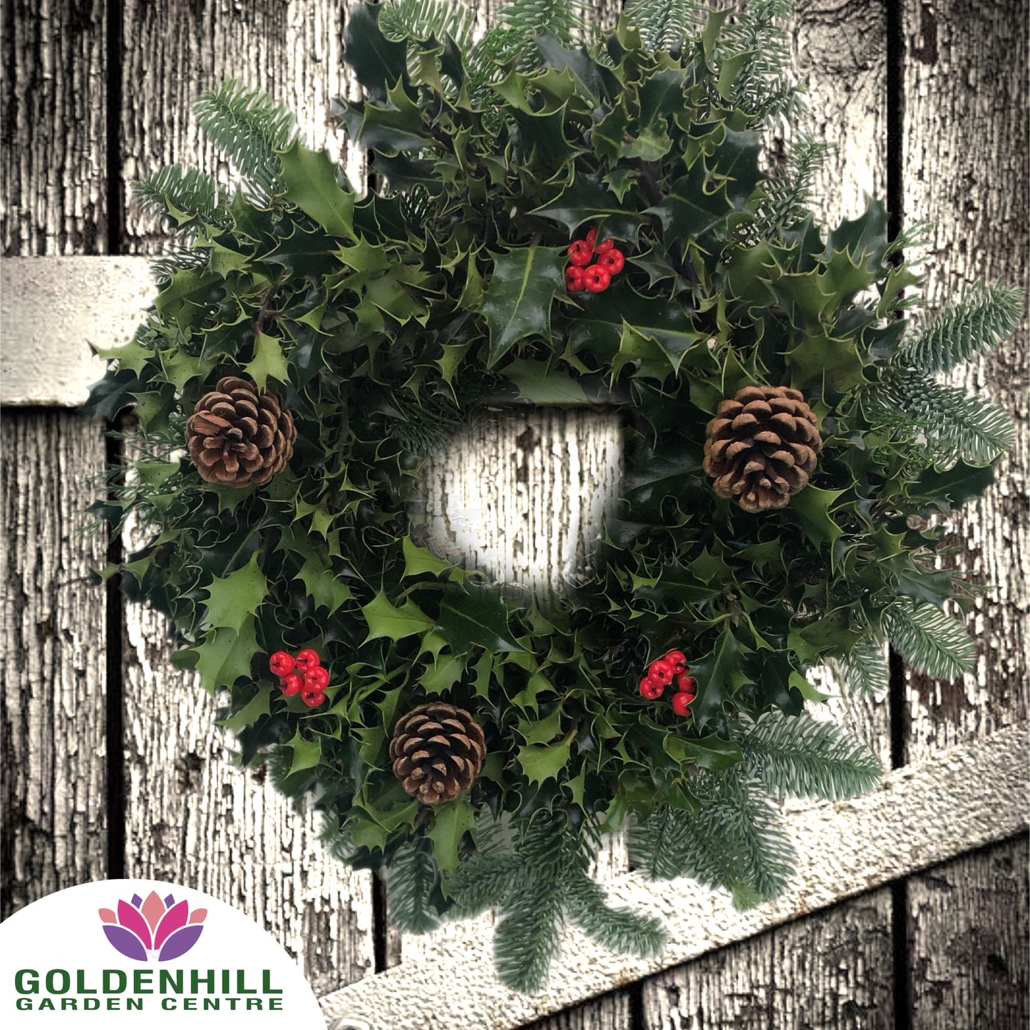 Traditional Holly Wreath with Berrys & Pine Cones