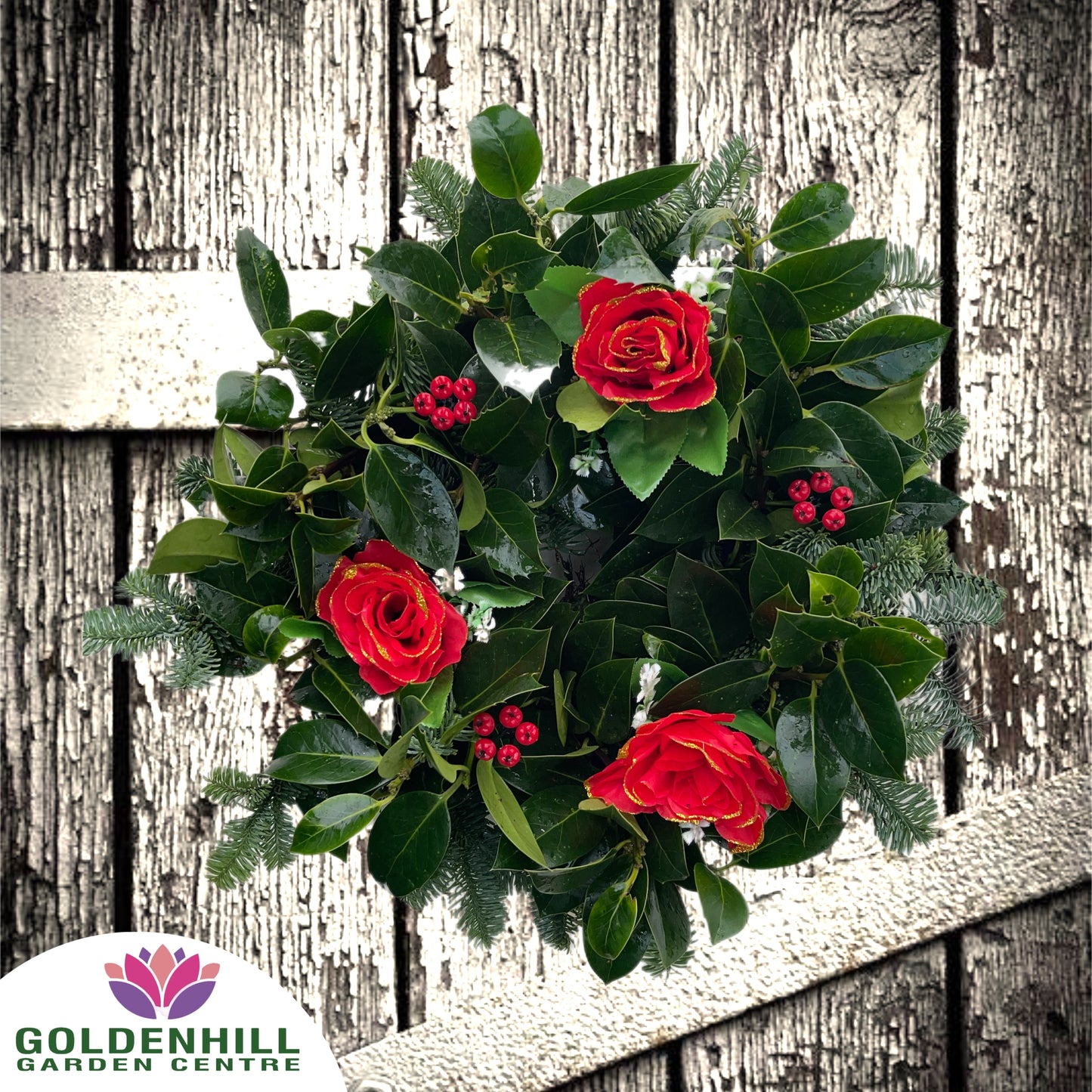 Traditional Holly Wreath with Just Christmas flowers