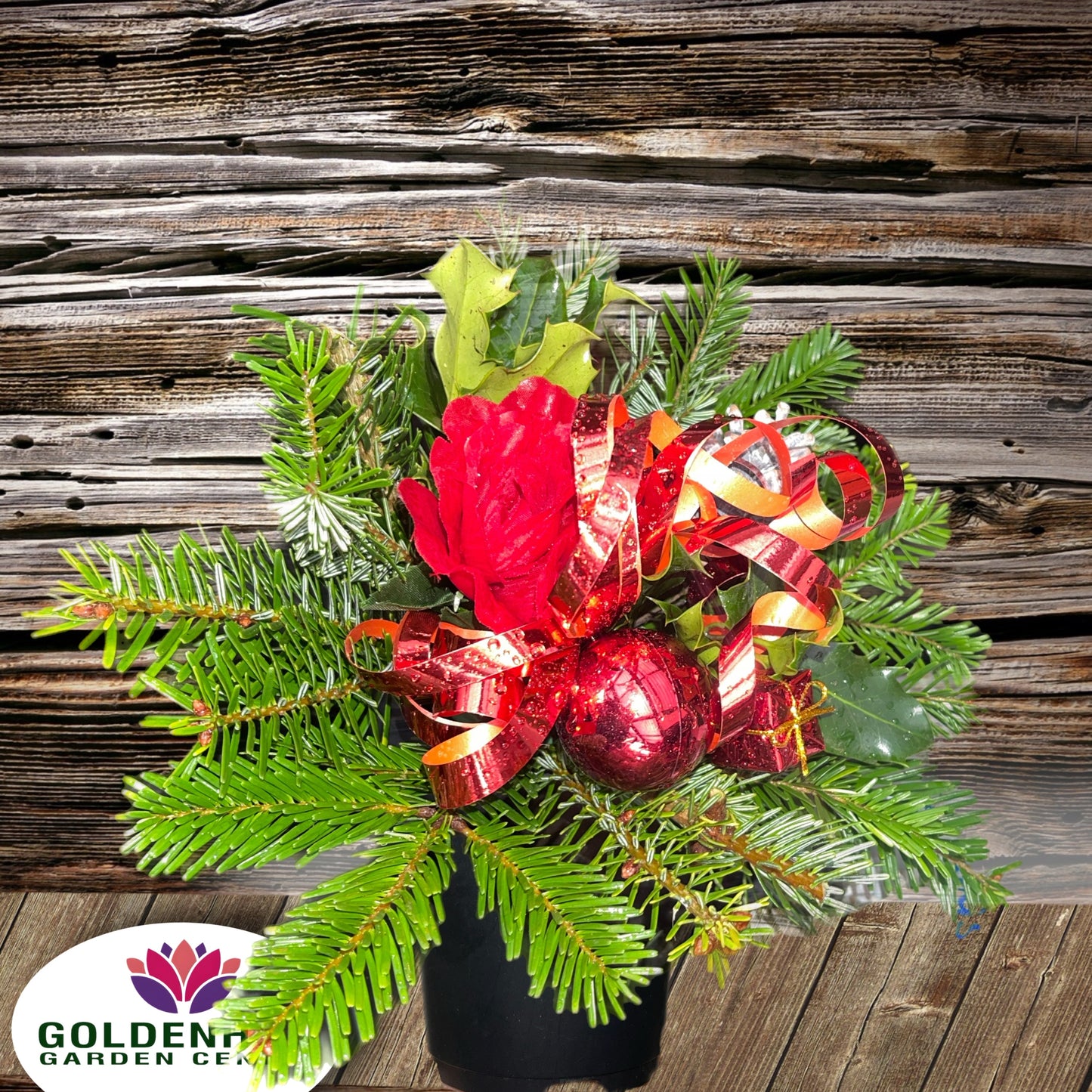 Value Christmas Fresh Crem Pots