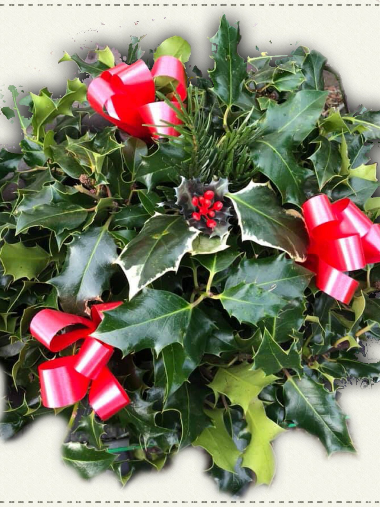 Value Traditional Holly Wreath