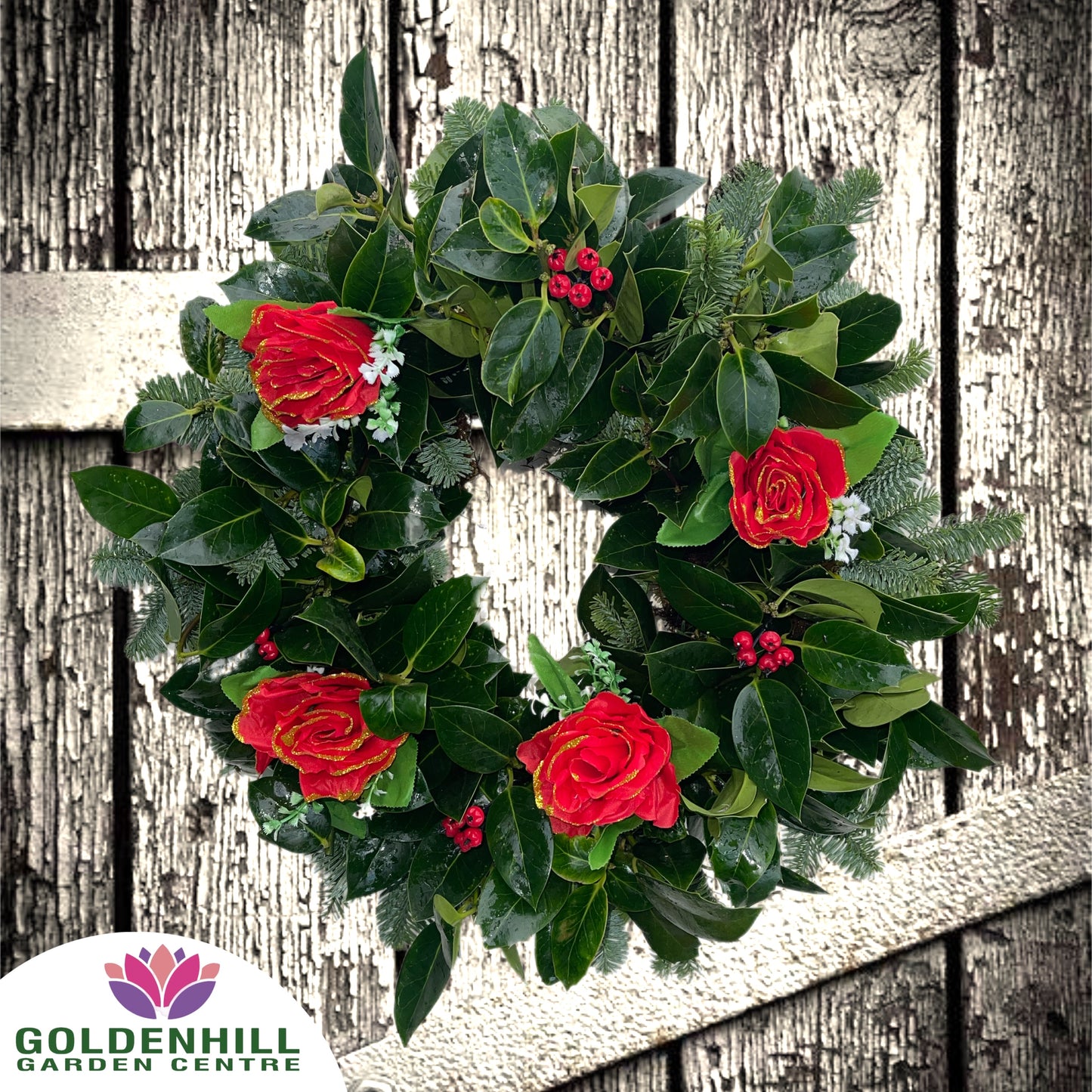 Traditional Holly Wreath with Just Christmas flowers