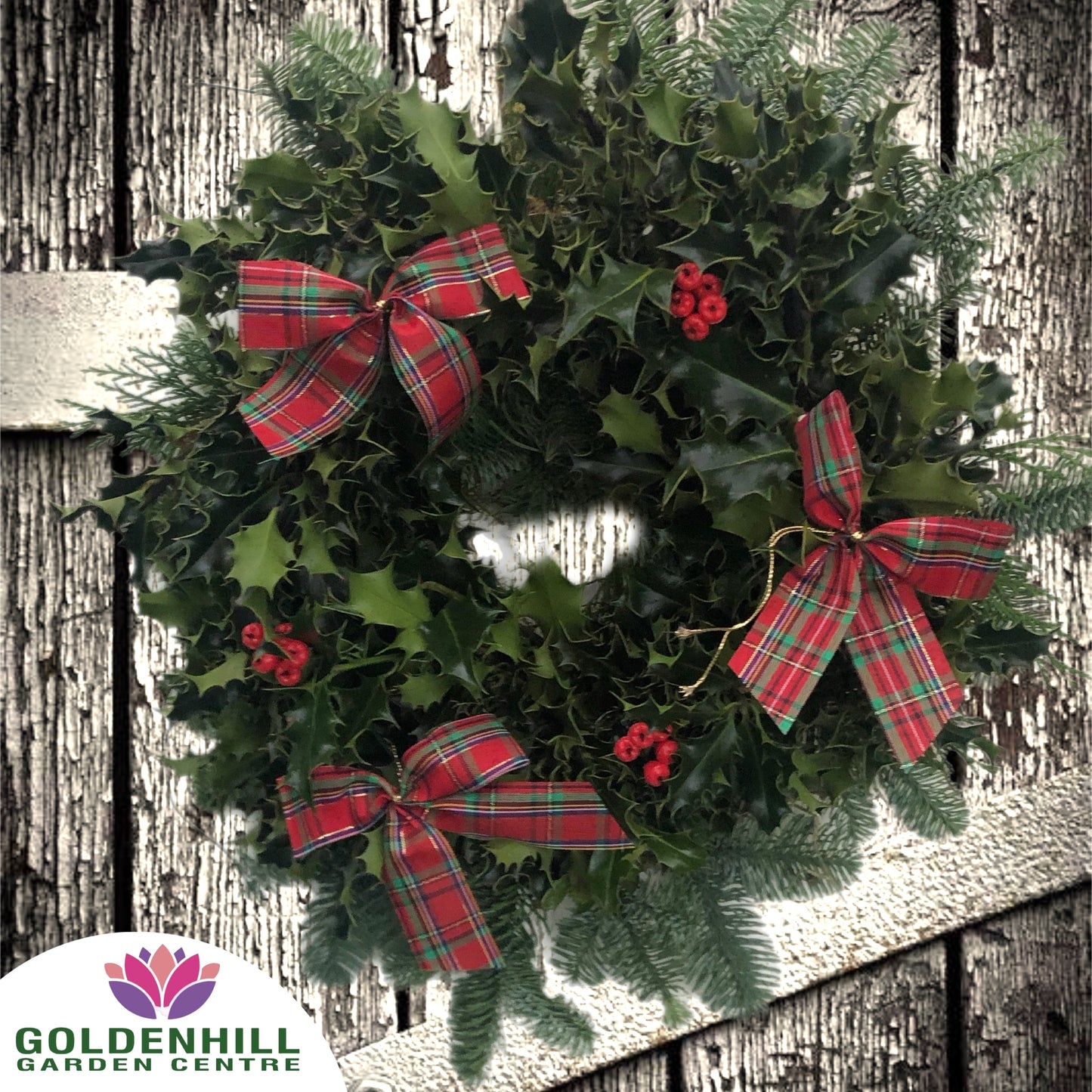 Traditional Holly Wreath with Berrys & Ribbons