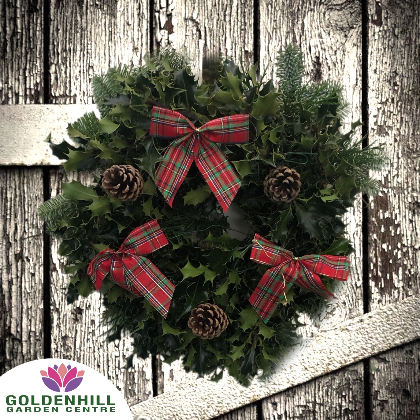 Traditional Holly Wreath with Pine Cones & Ribbons