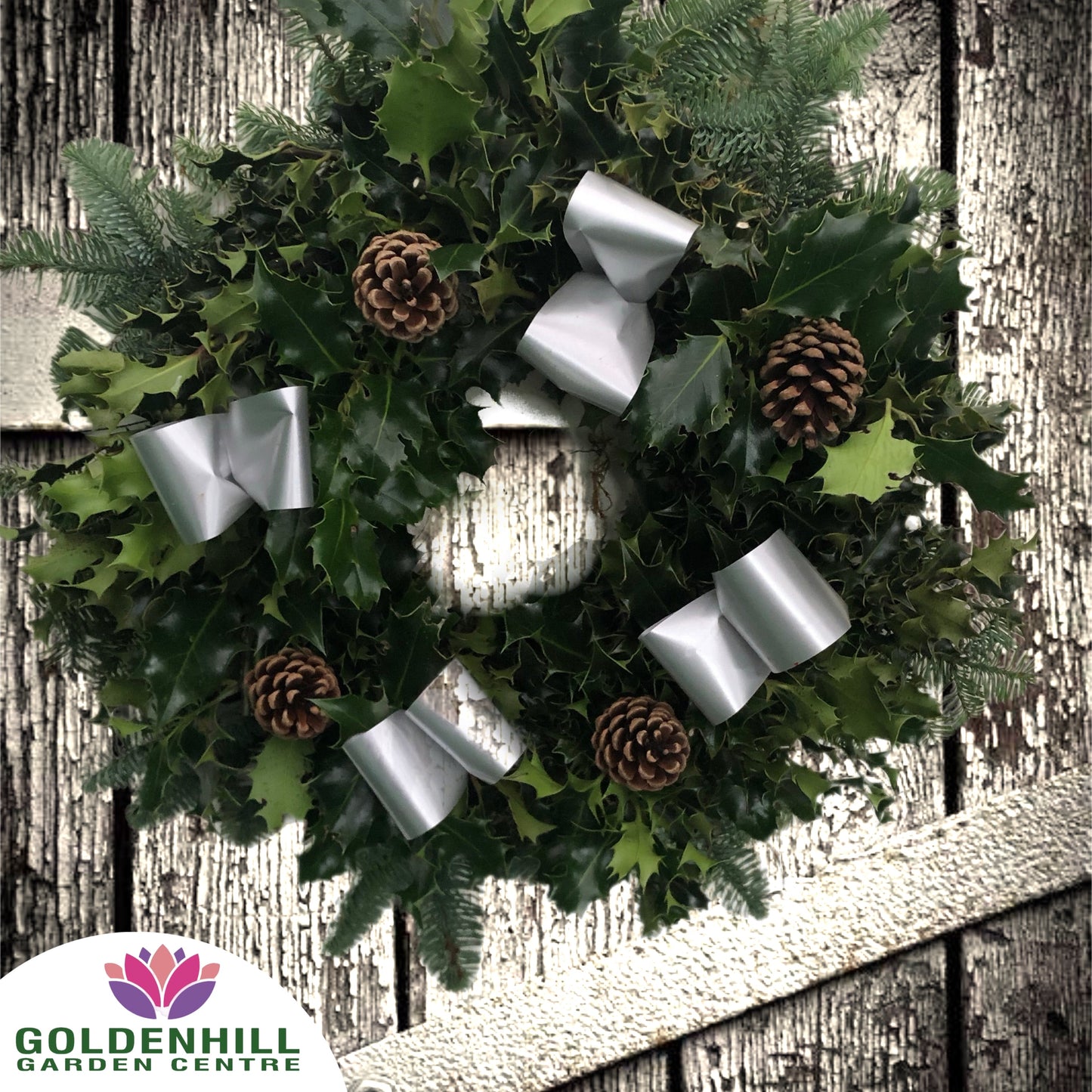Traditional Holly Wreath with Pine Cones & Ribbons