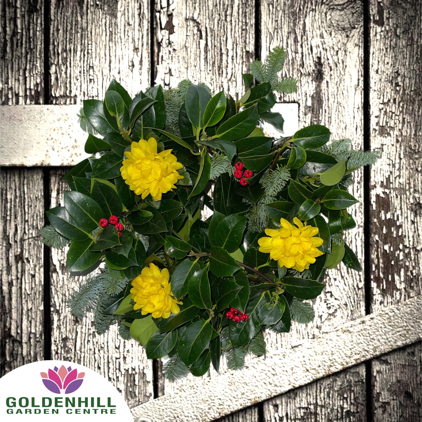 Traditional Holly Wreath with Just Flowers