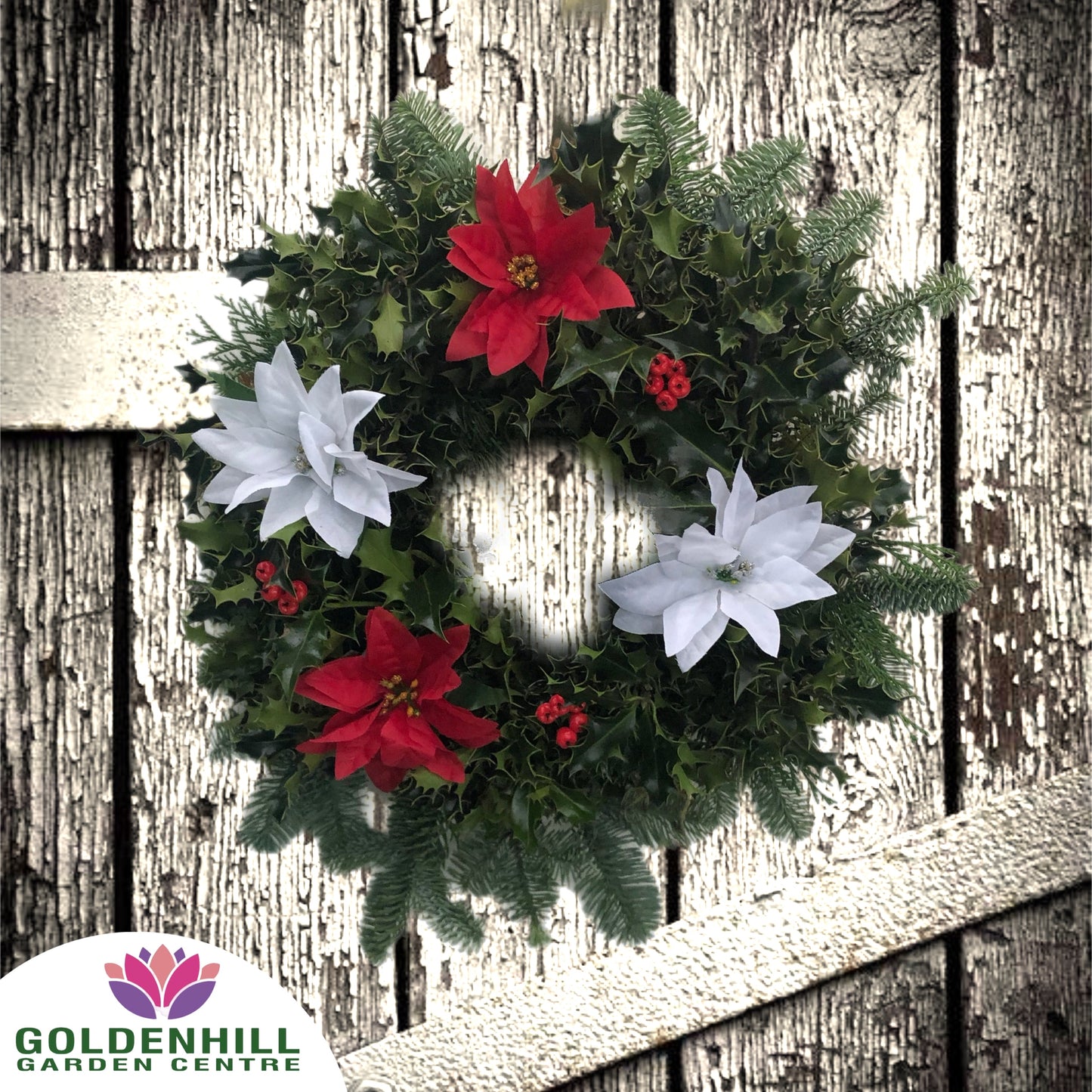 Traditional Holly Wreath with Just Christmas flowers