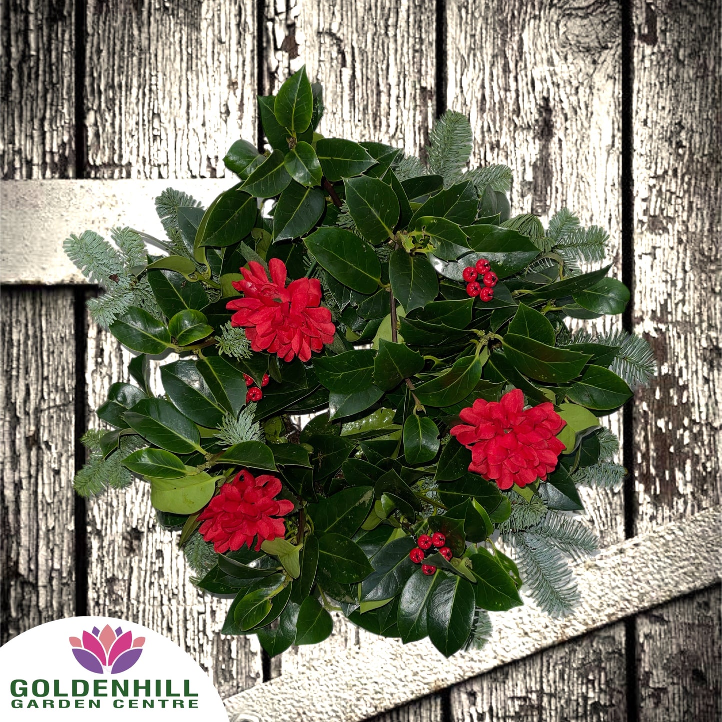 Traditional Holly Wreath with Just Flowers
