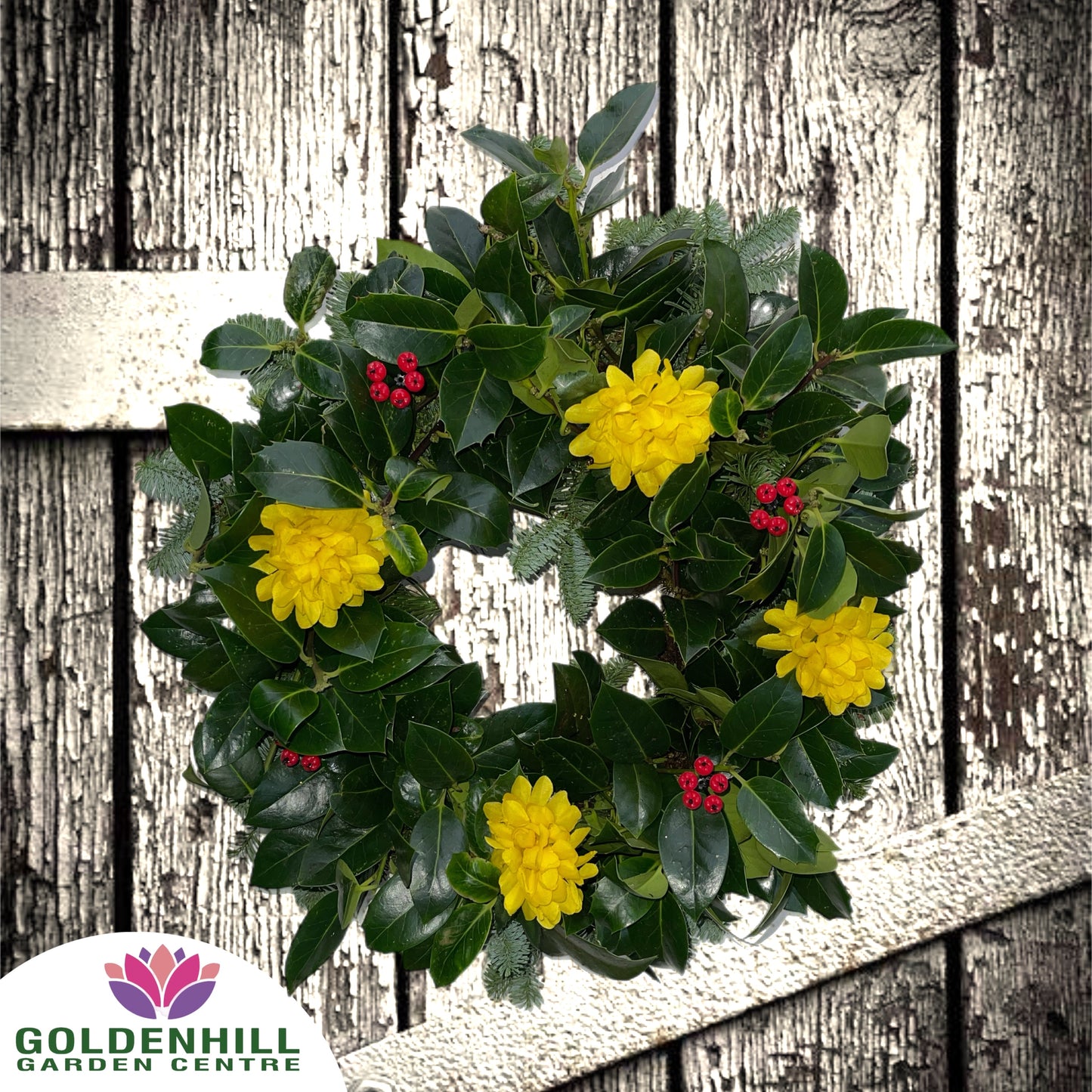 Traditional Holly Wreath with Just Flowers