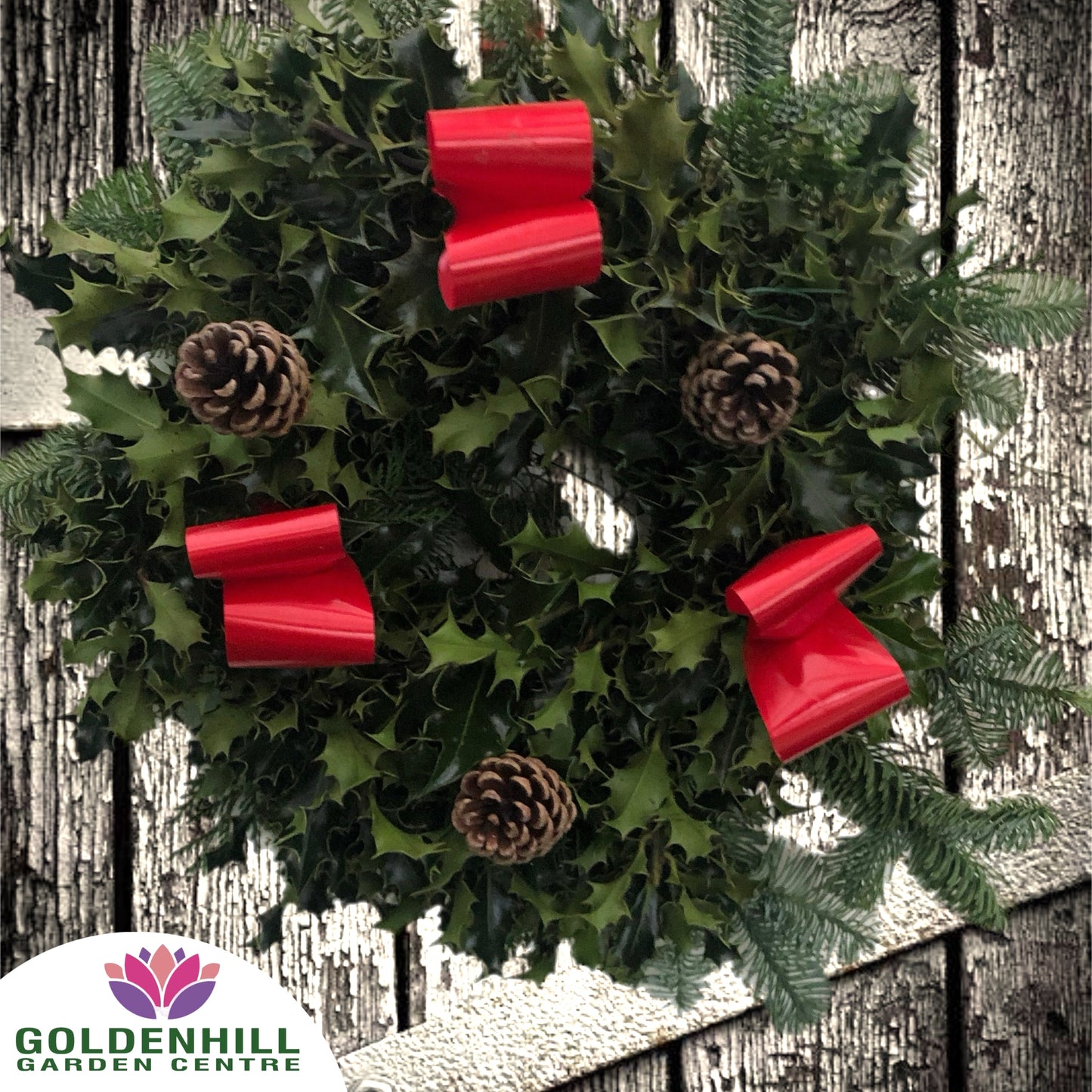 Traditional Holly Wreath with Pine Cones & Ribbons