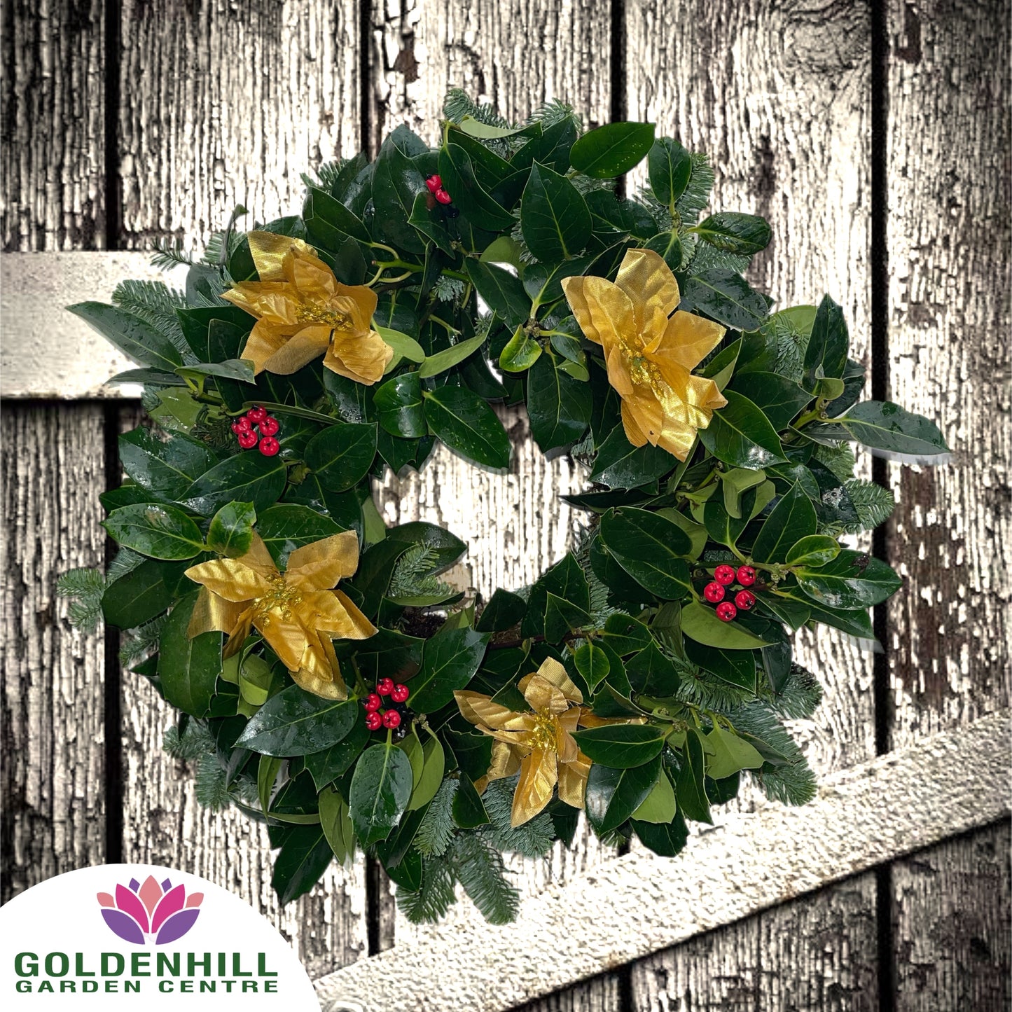 Traditional Holly Wreath with Just Christmas flowers