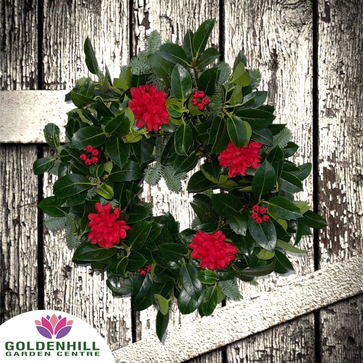 Traditional Holly Wreath with Just Flowers