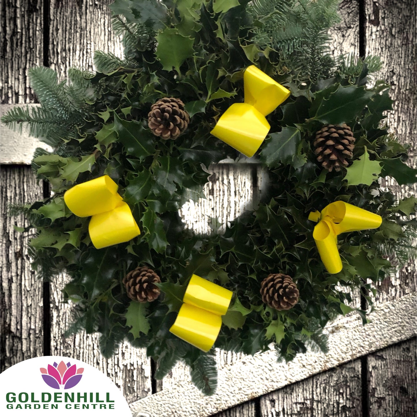 Traditional Holly Wreath with Pine Cones & Ribbons