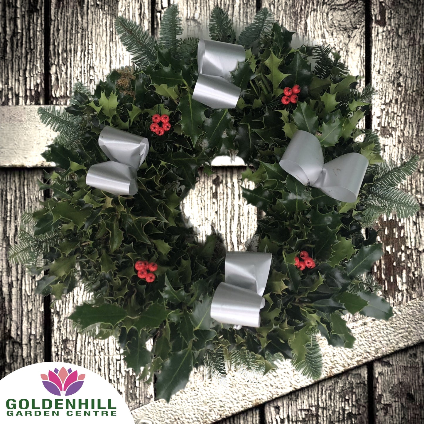 Traditional Holly Wreath with Berrys & Ribbons