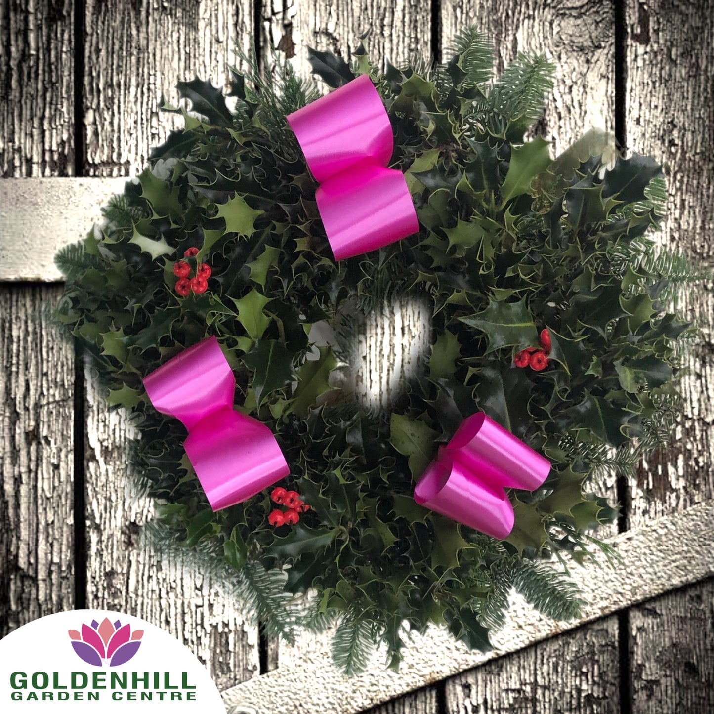 Traditional Holly Wreath with Berrys & Ribbons