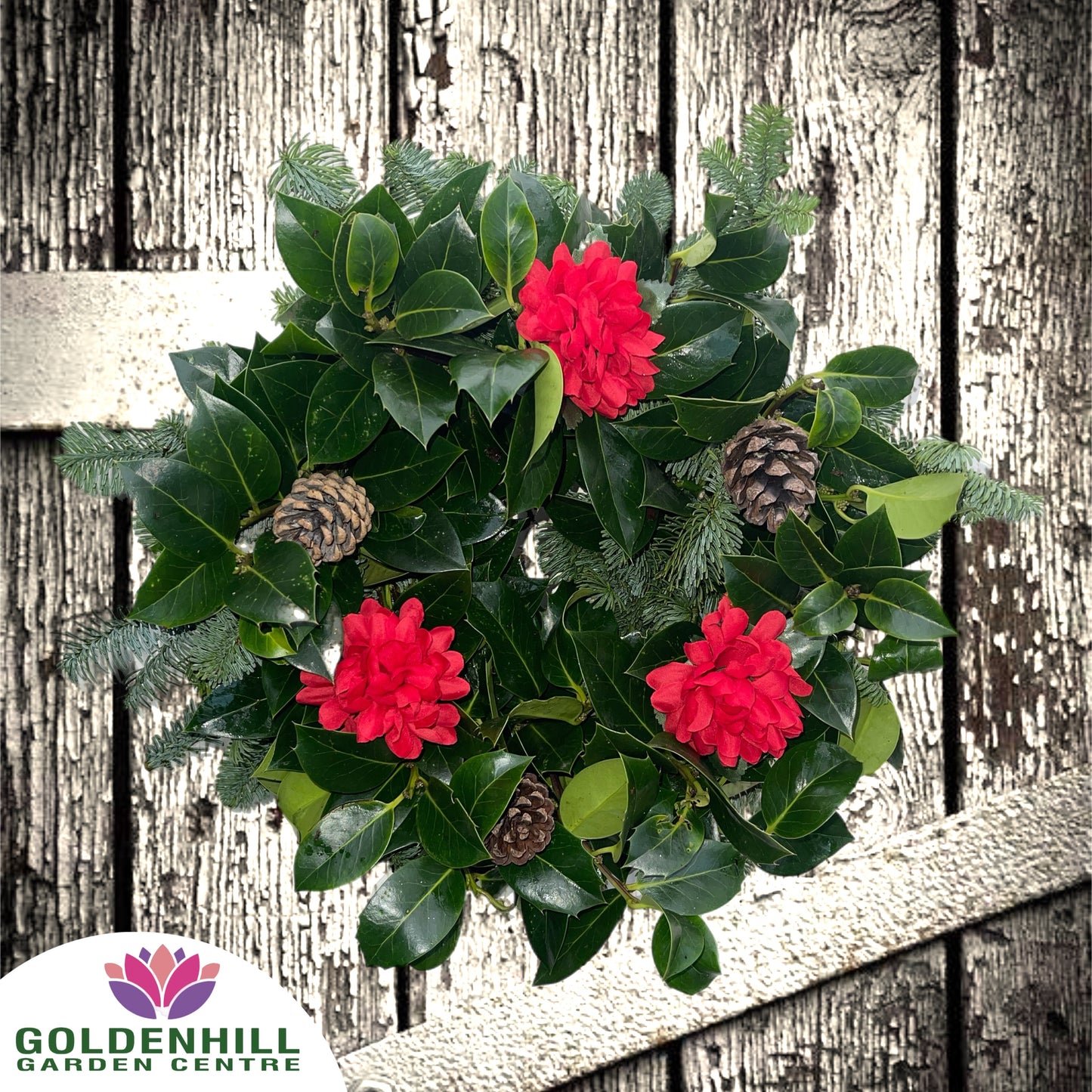 Traditional Holly Wreath with Flowers & Pine Cones