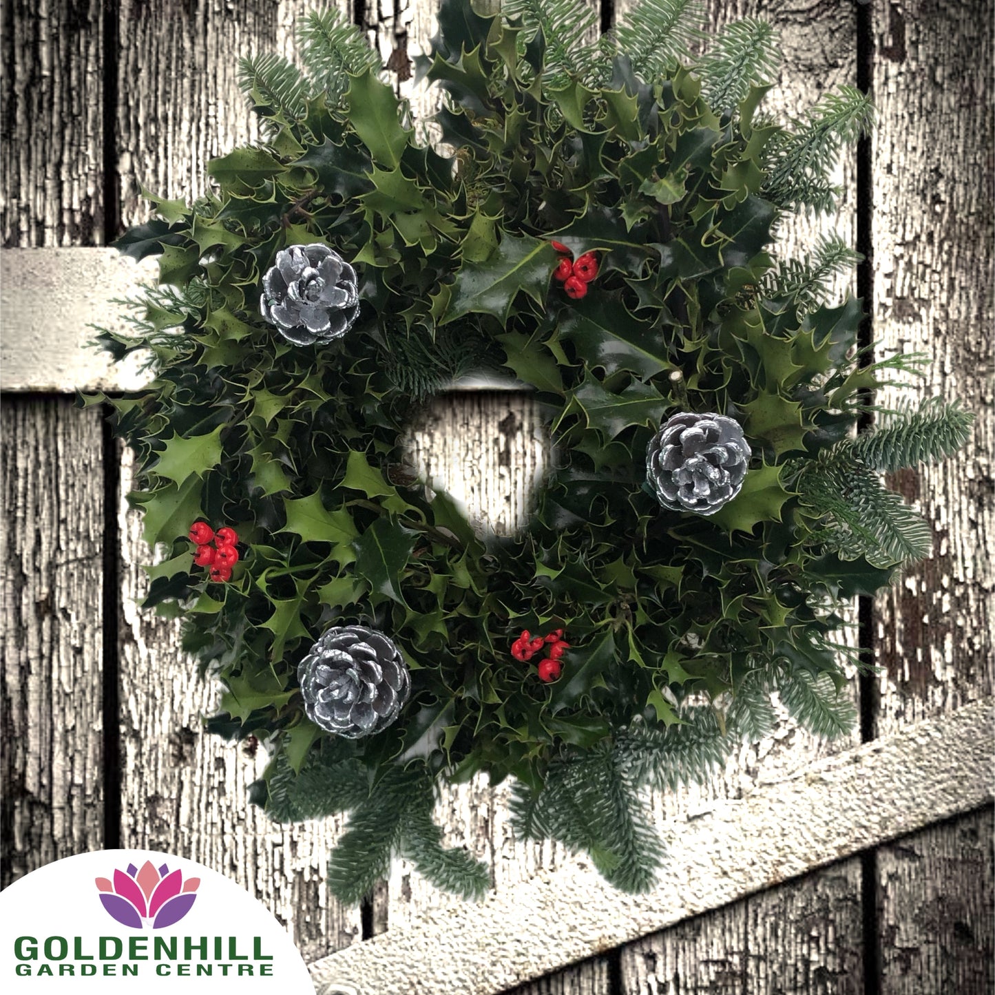 Traditional Holly Wreath with Berrys & Pine Cones