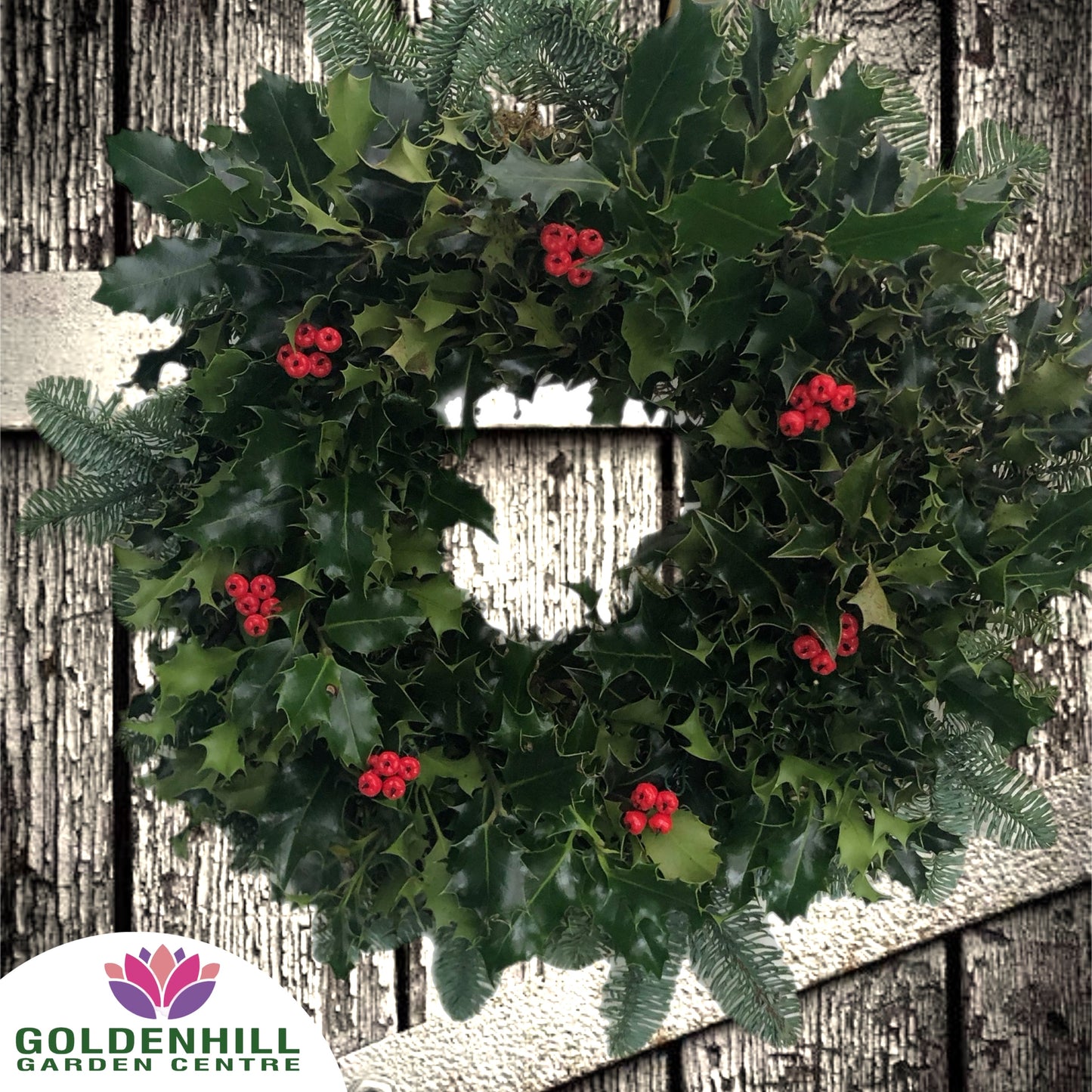 Traditional Holly Wreath with Just Berrys
