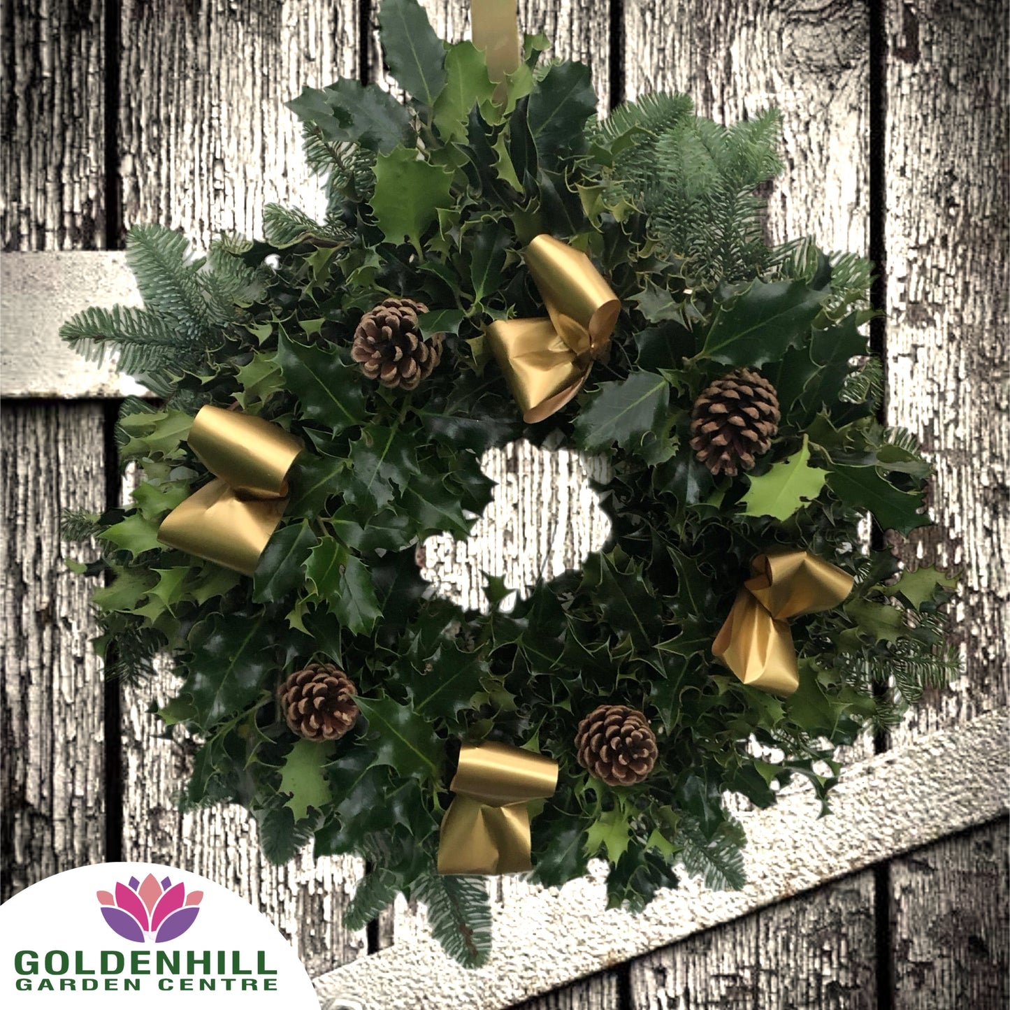 Traditional Holly Wreath with Pine Cones & Ribbons