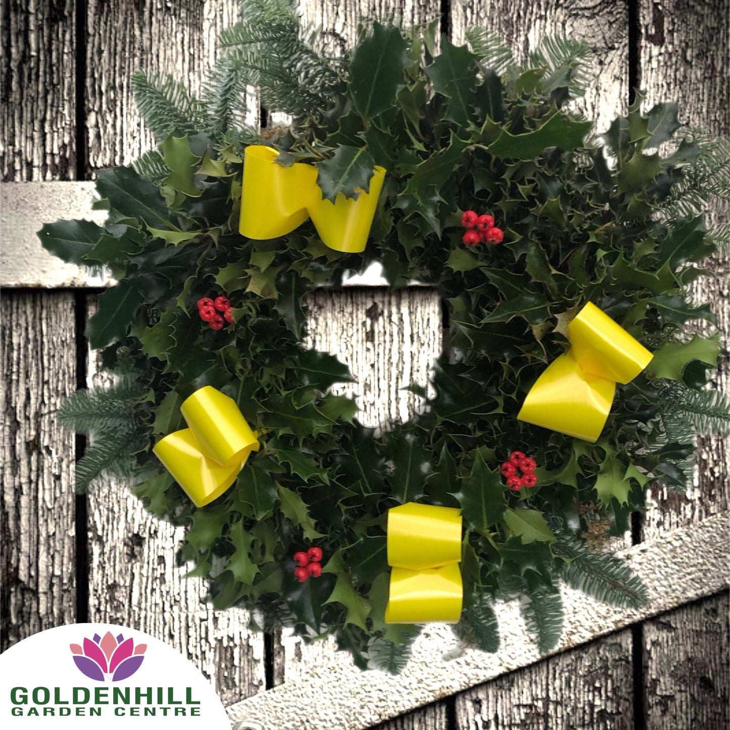 Traditional Holly Wreath with Berrys & Ribbons