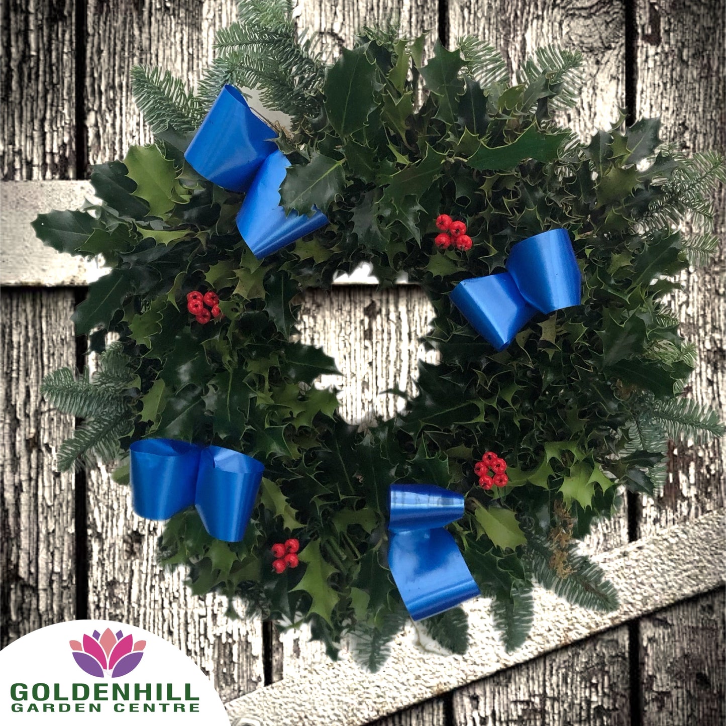 Traditional Holly Wreath with Berrys & Ribbons