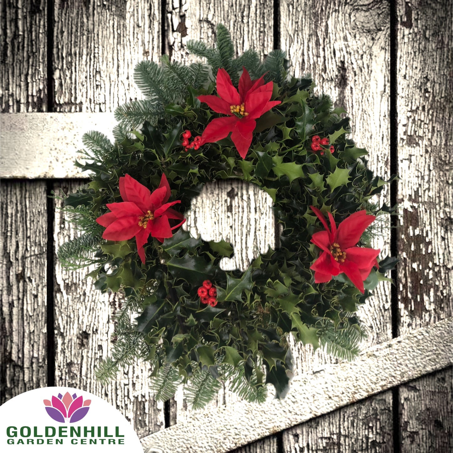 Traditional Holly Wreath with Just Christmas flowers