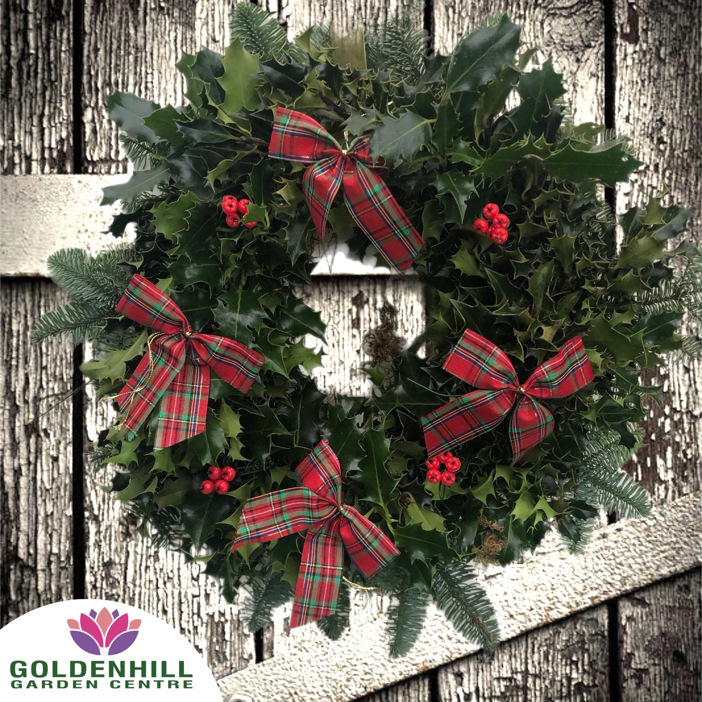 Traditional Holly Wreath with Berrys & Ribbons