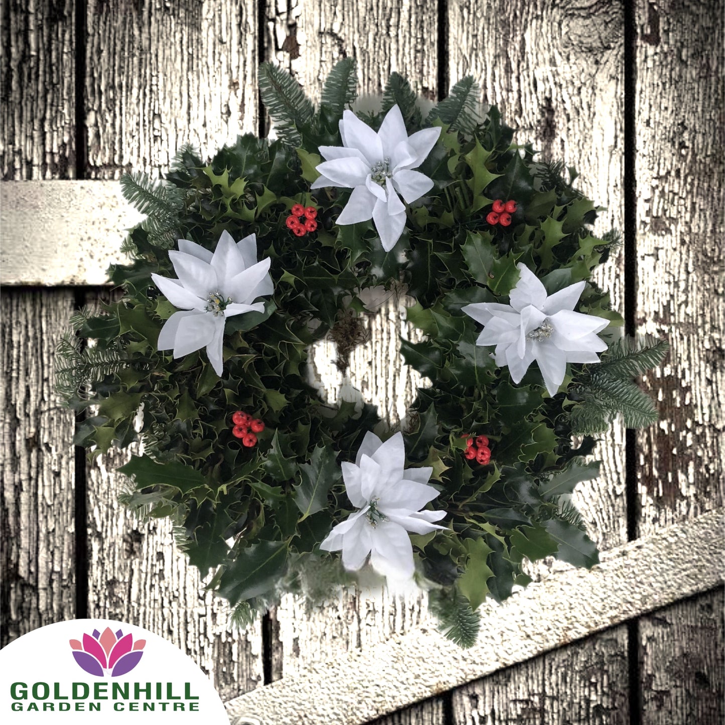 Traditional Holly Wreath with Just Christmas flowers