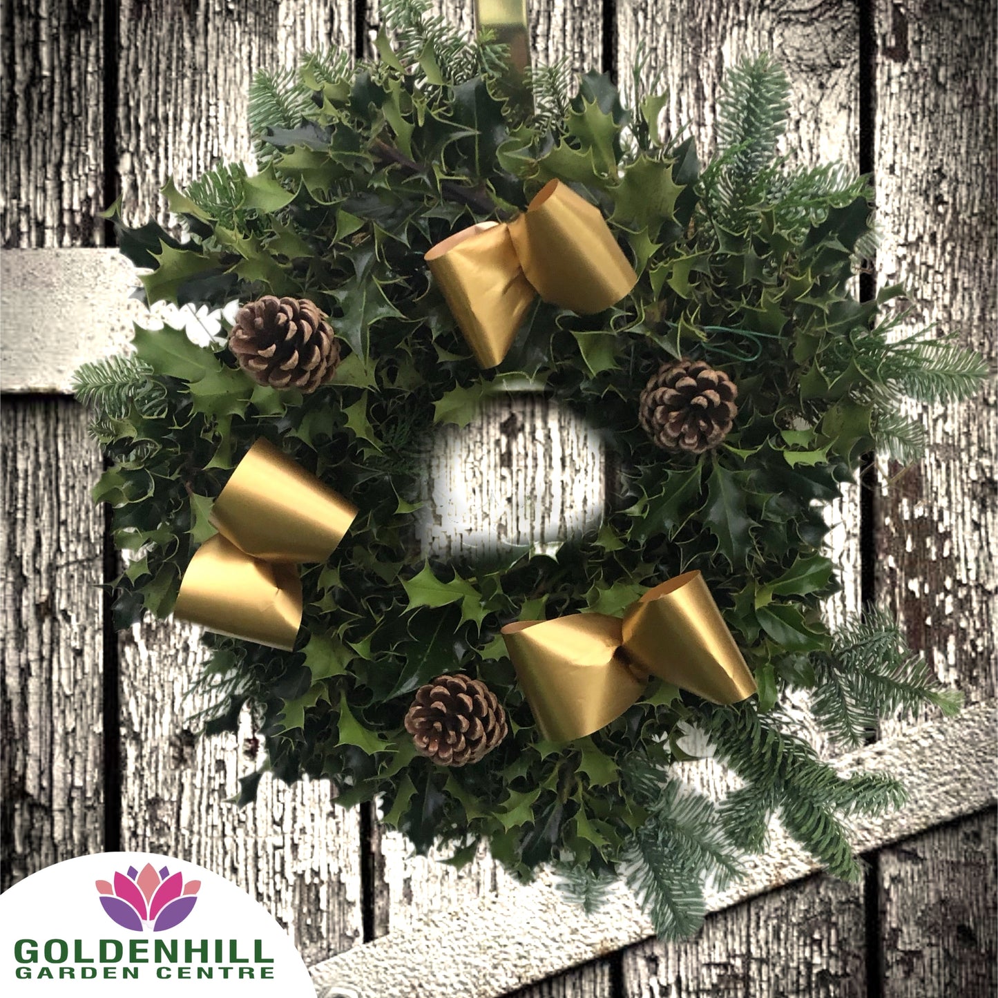 Traditional Holly Wreath with Pine Cones & Ribbons