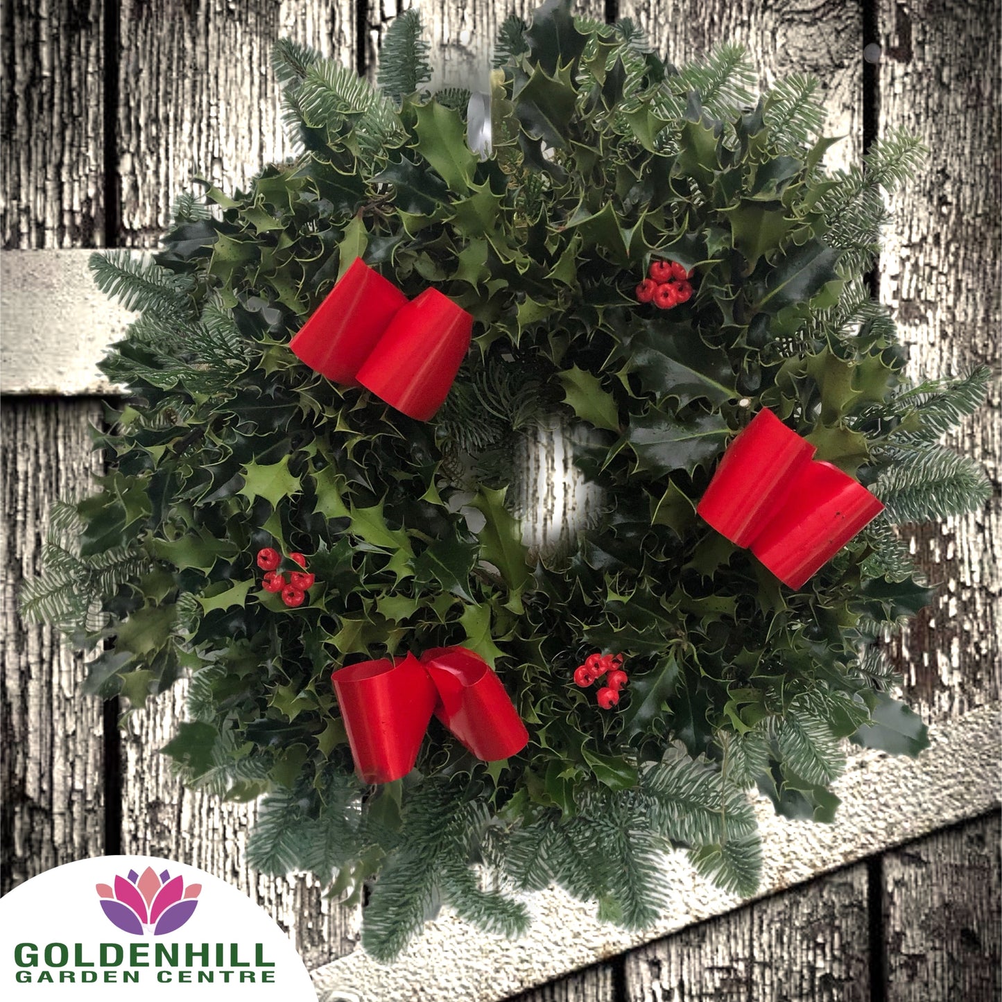 Traditional Holly Wreath with Berrys & Ribbons