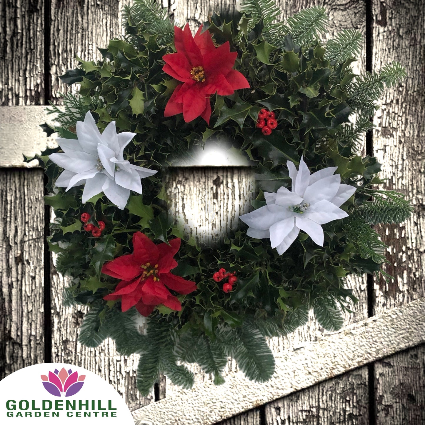 Traditional Holly Wreath with Just Christmas flowers
