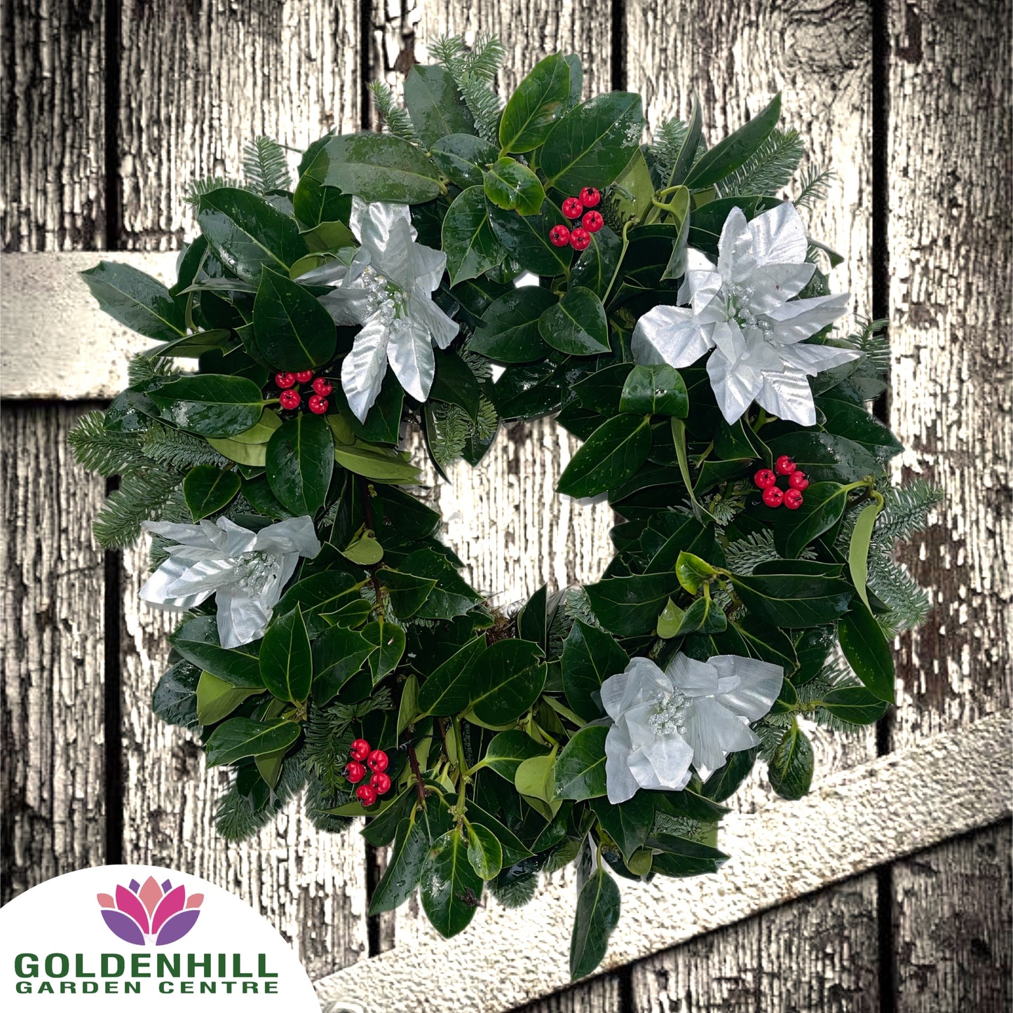 Traditional Holly Wreath with Just Christmas flowers