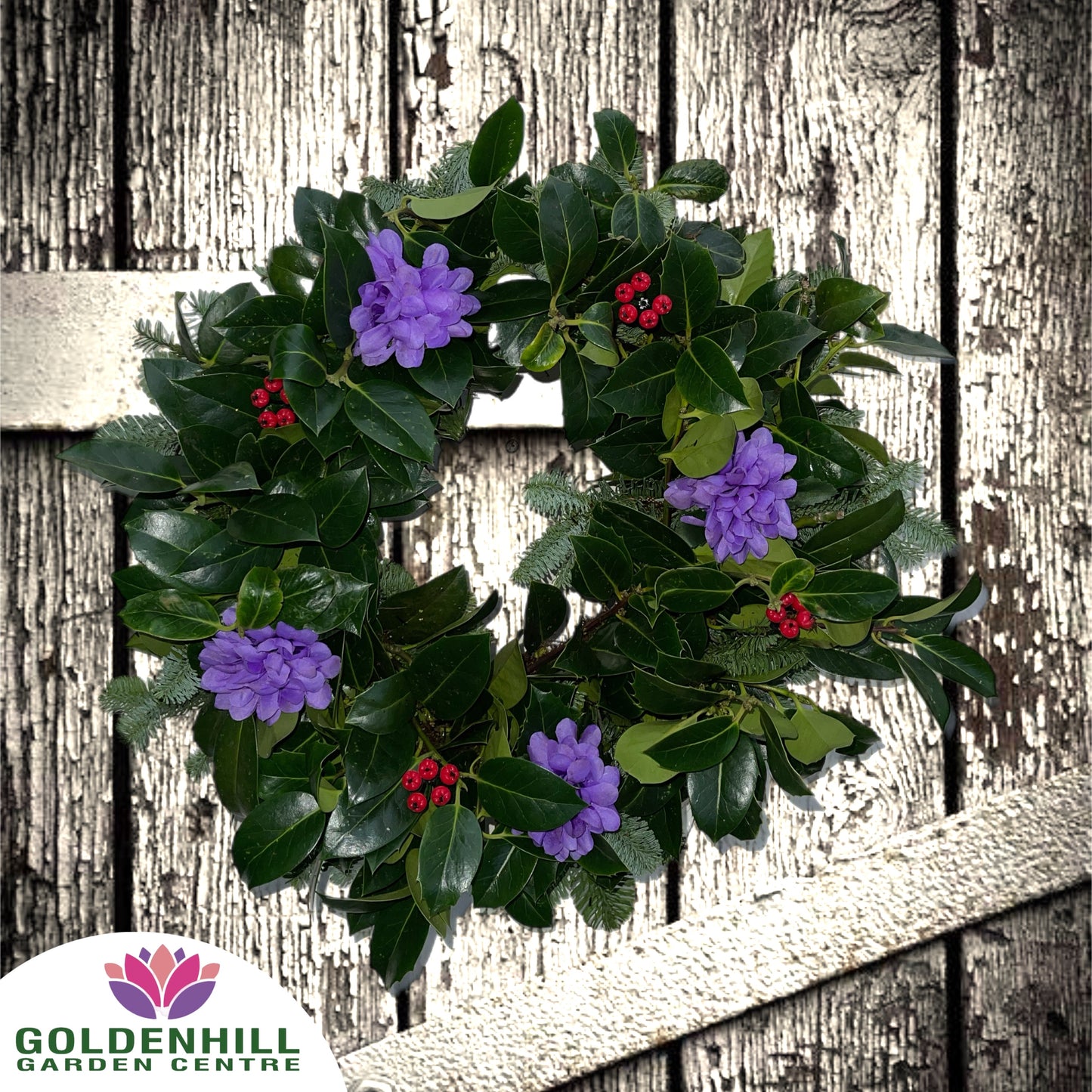 Traditional Holly Wreath with Just Flowers