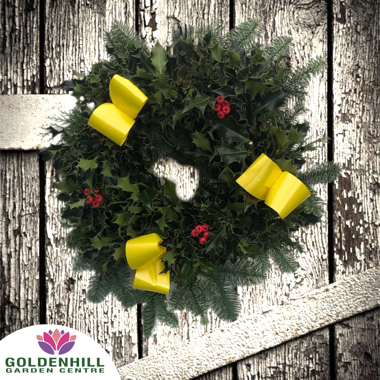 Traditional Holly Wreath with Berrys & Ribbons