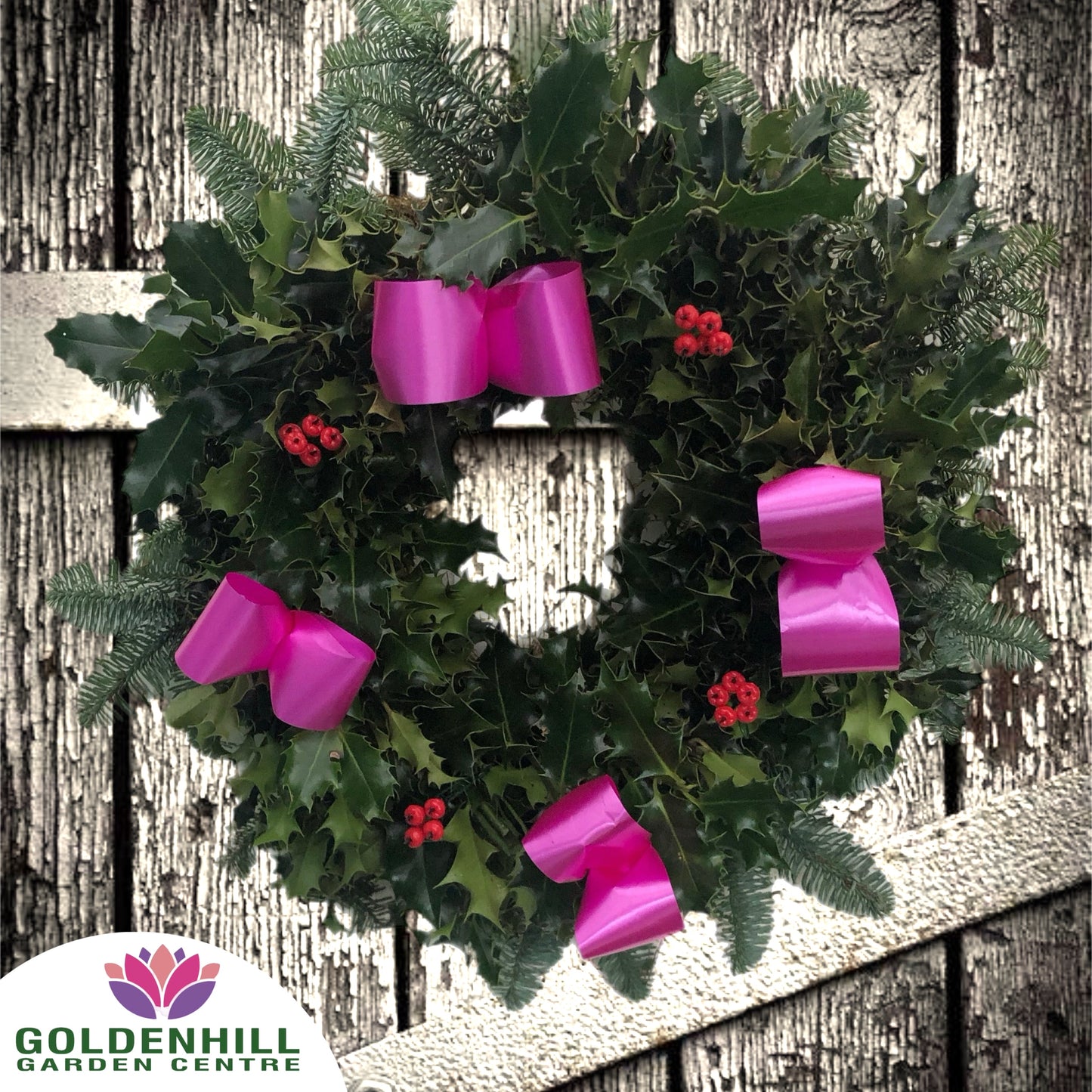 Traditional Holly Wreath with Berrys & Ribbons