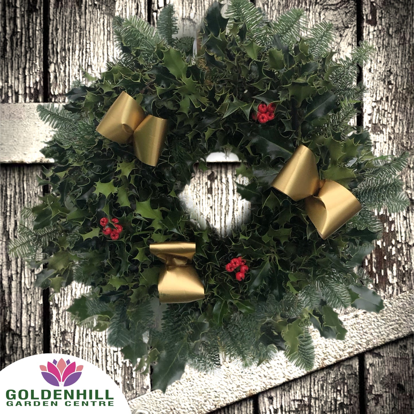 Traditional Holly Wreath with Berrys & Ribbons