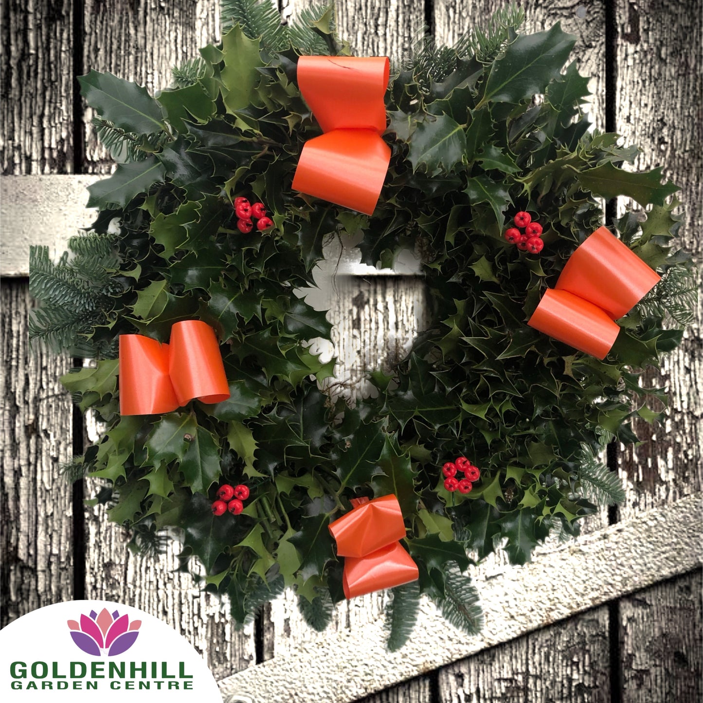 Traditional Holly Wreath with Berrys & Ribbons