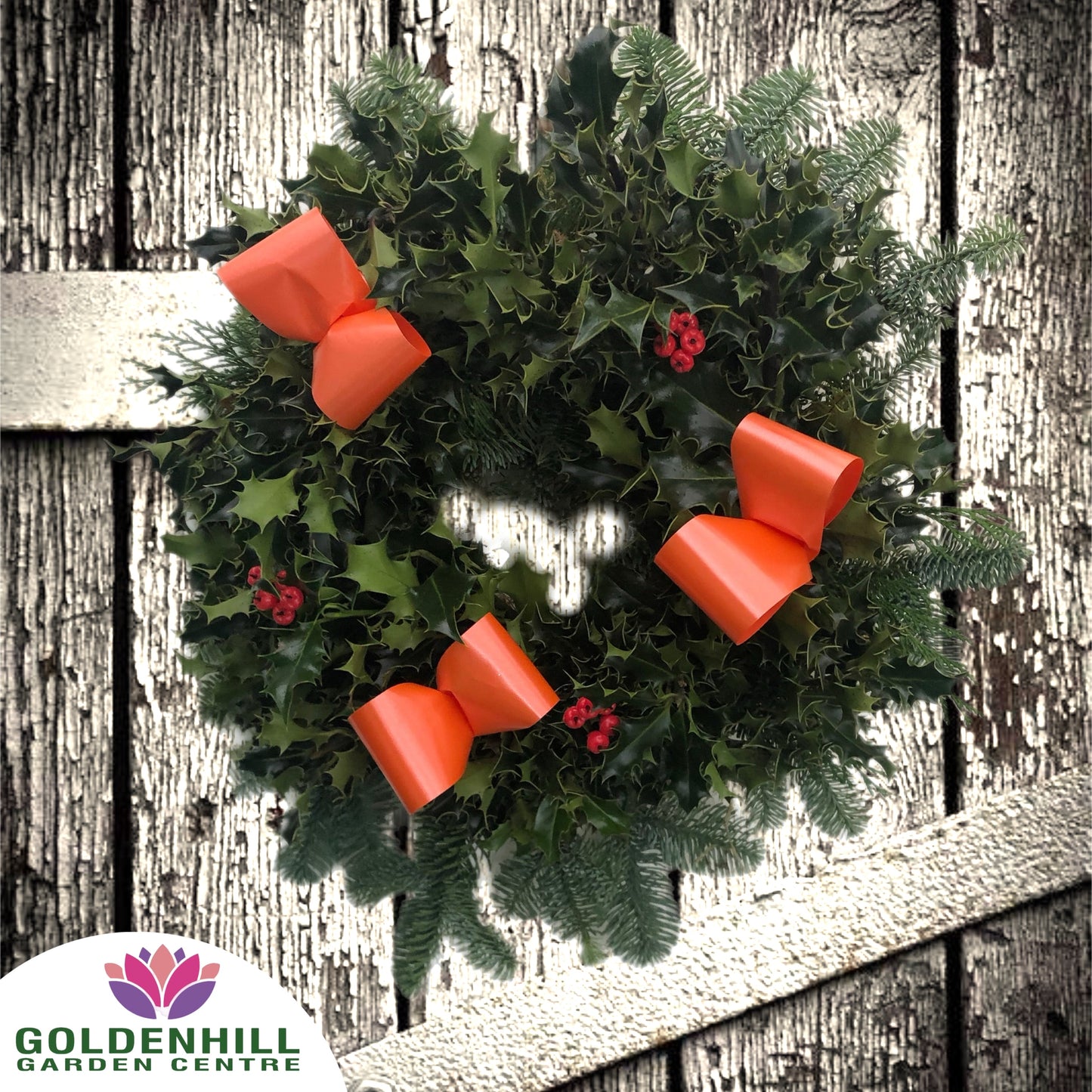 Traditional Holly Wreath with Berrys & Ribbons