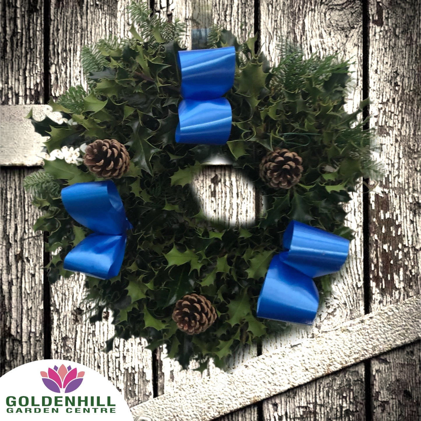 Traditional Holly Wreath with Pine Cones & Ribbons