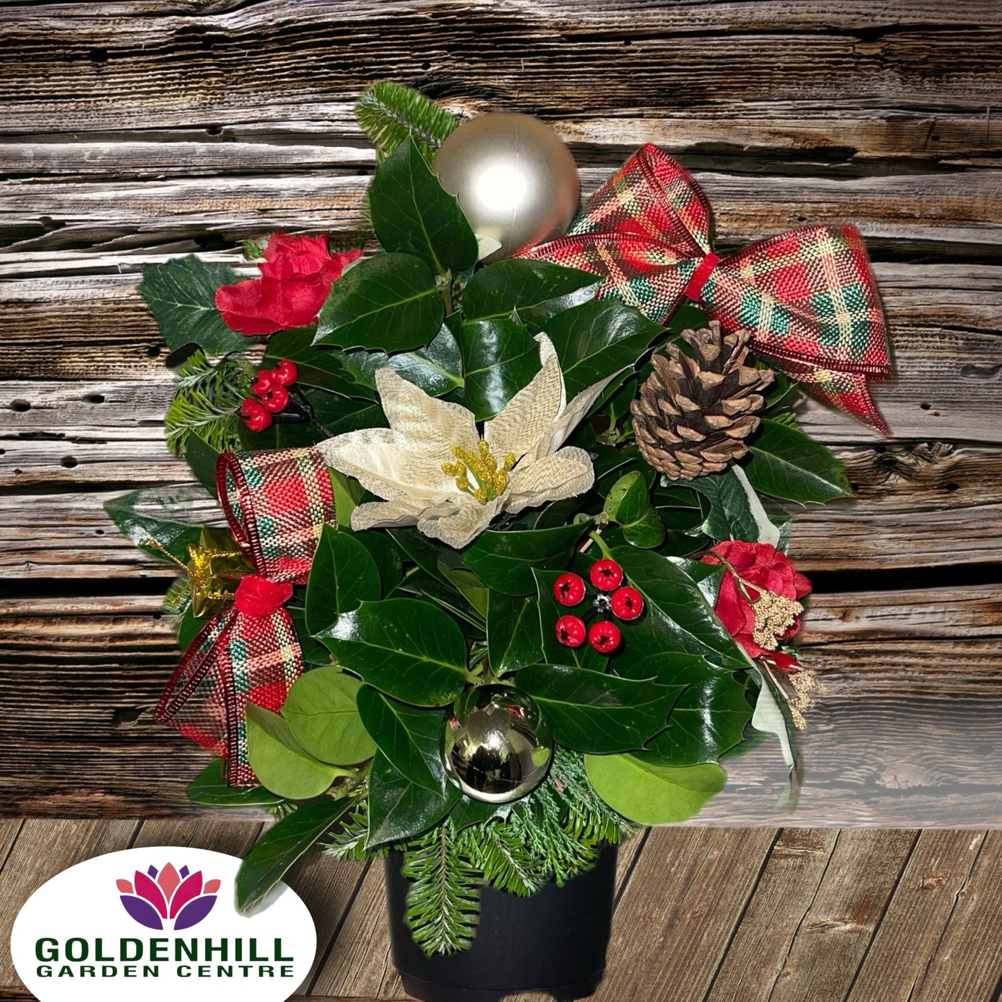 Fresh Christmas Deluxe Grave pot