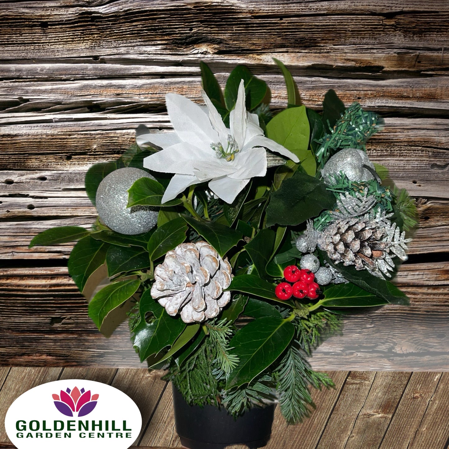 Value Christmas Fresh Grave Pots