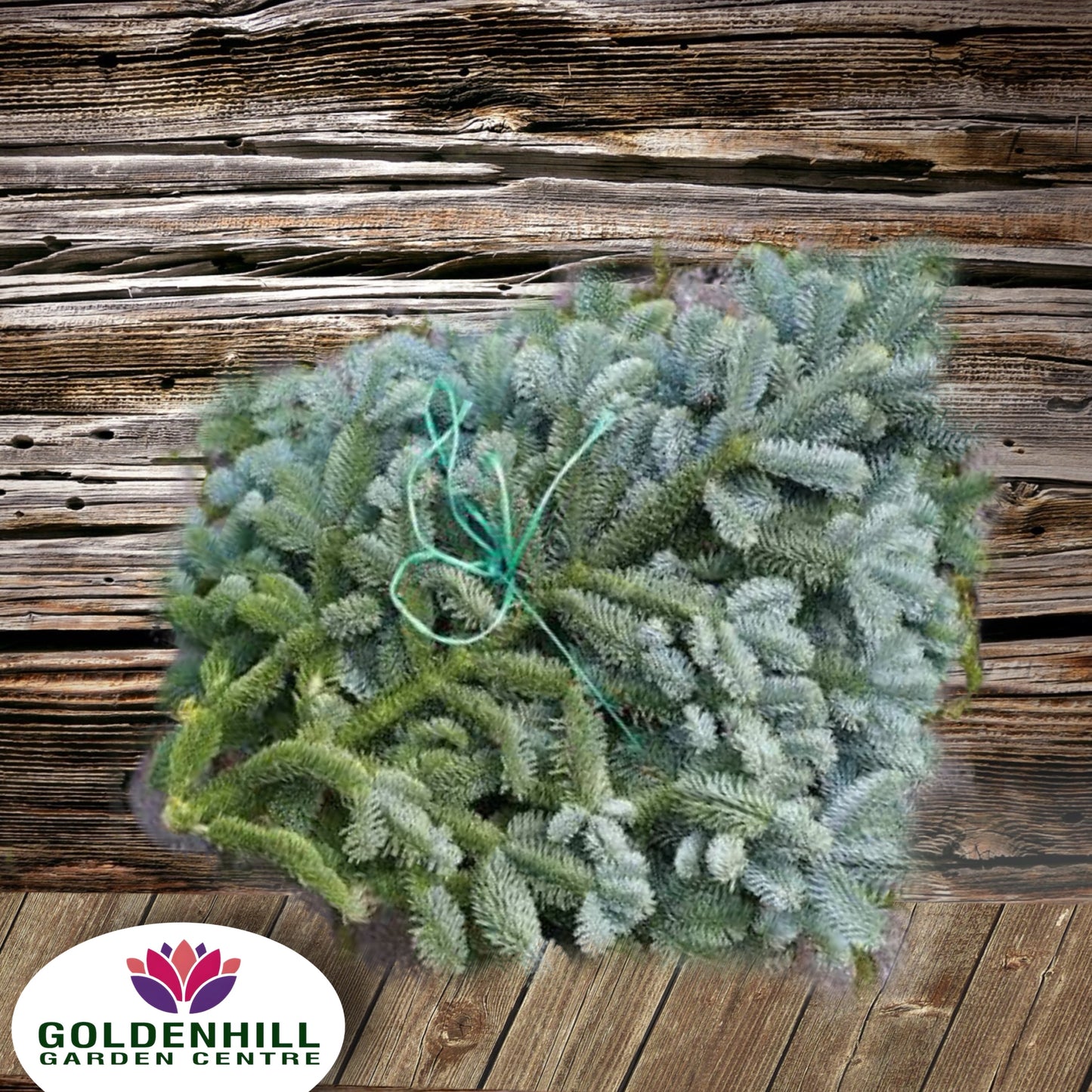 Noble Fir Fresh Foliage