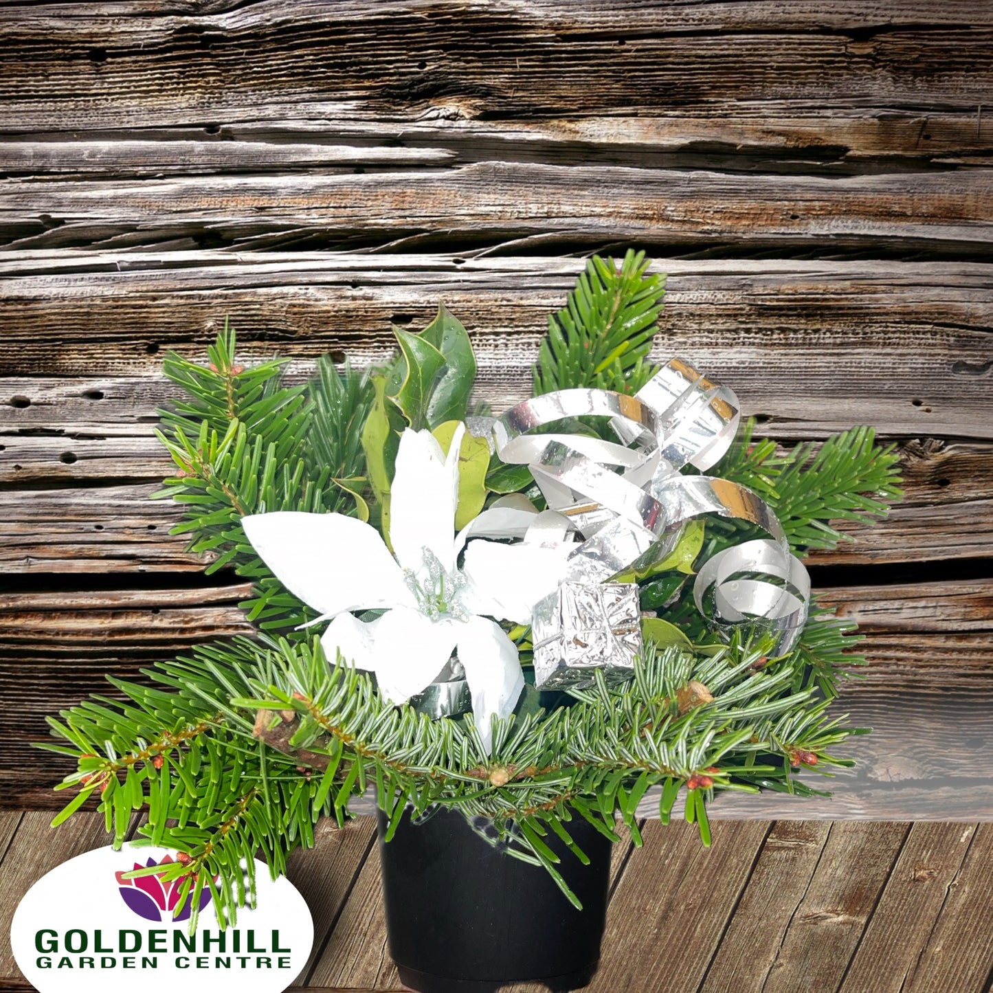 Value Christmas Fresh Crem Pots