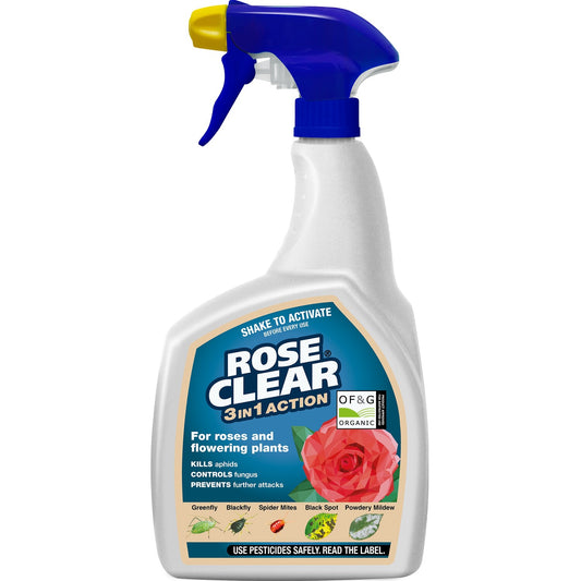 Rose Clear 3 in 1