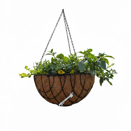 London Style Deluxe Hanging Baskets