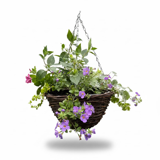 Mixed Wicker Hanging basket Round