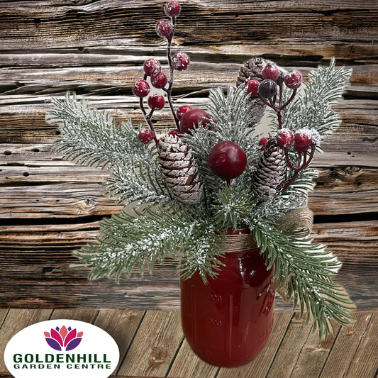 Christmas decoration in a ceramic vase red
