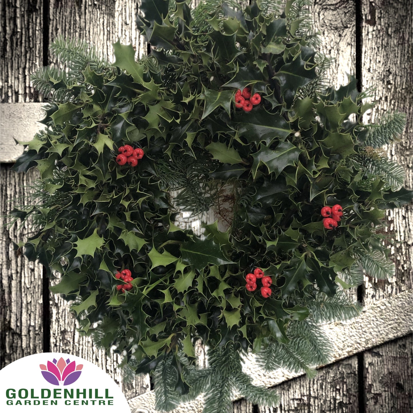 Traditional Holly Wreath with Just Berrys