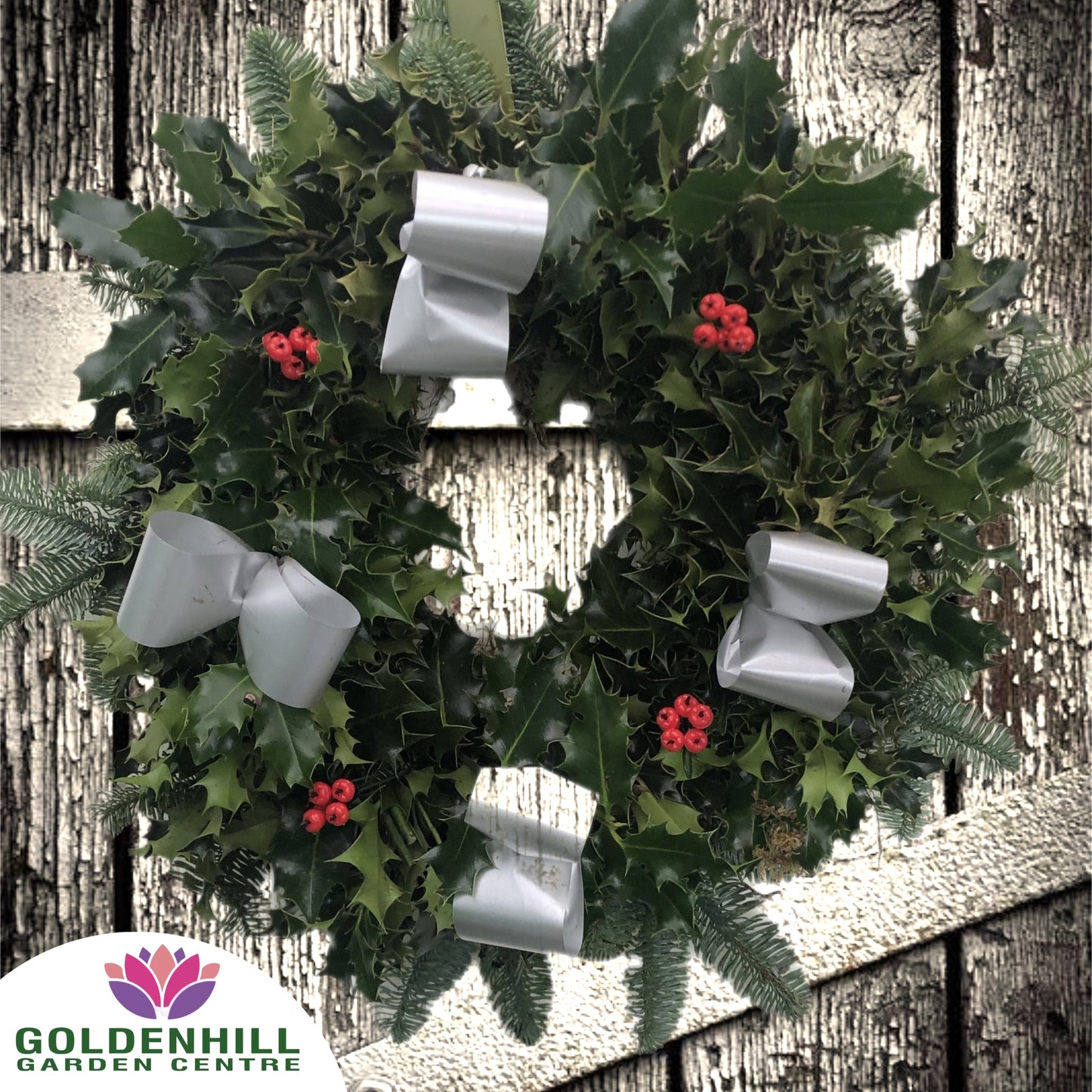 Traditional Holly Wreath with Berrys & Ribbons