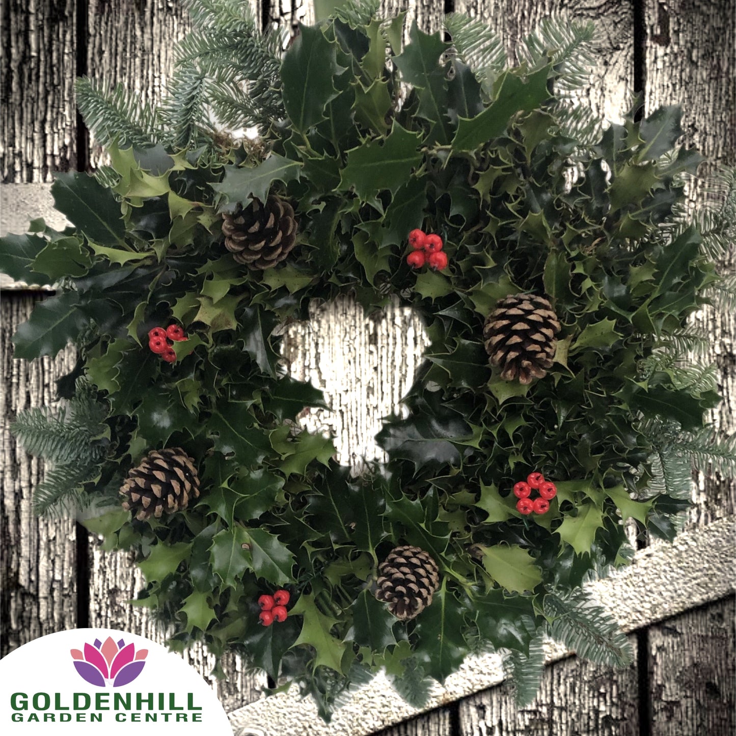 Traditional Holly Wreath with Berrys & Pine Cones